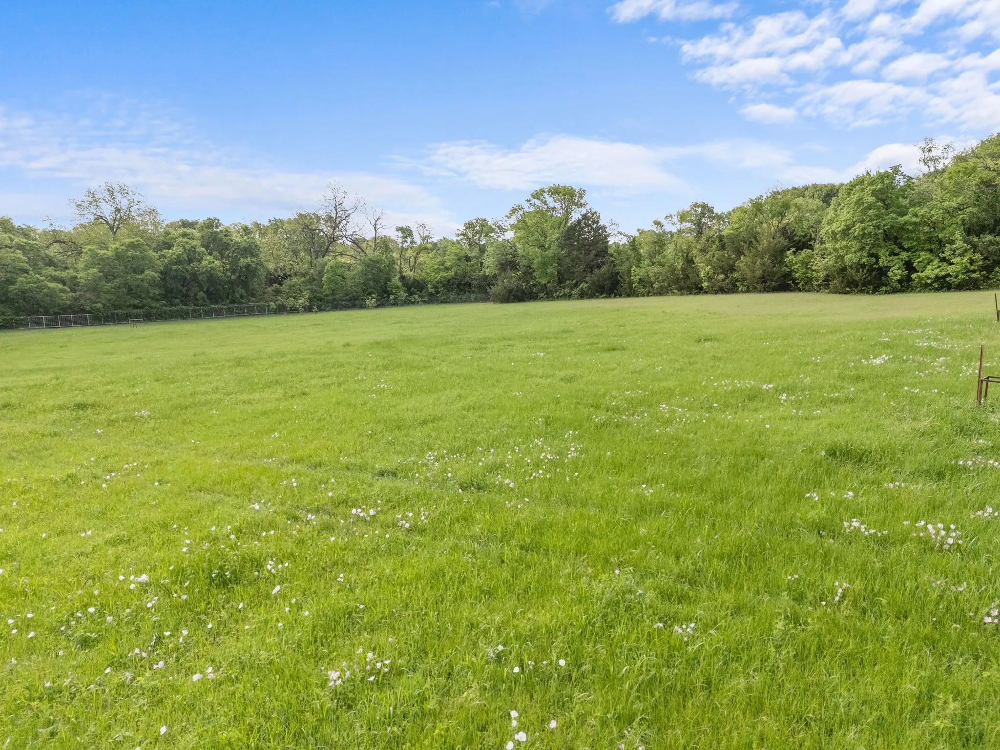 Open pasture for livestock
