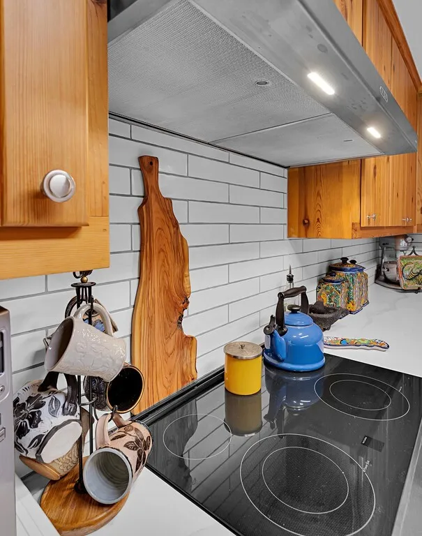 delecatly used & carefully maintained electric range and hood