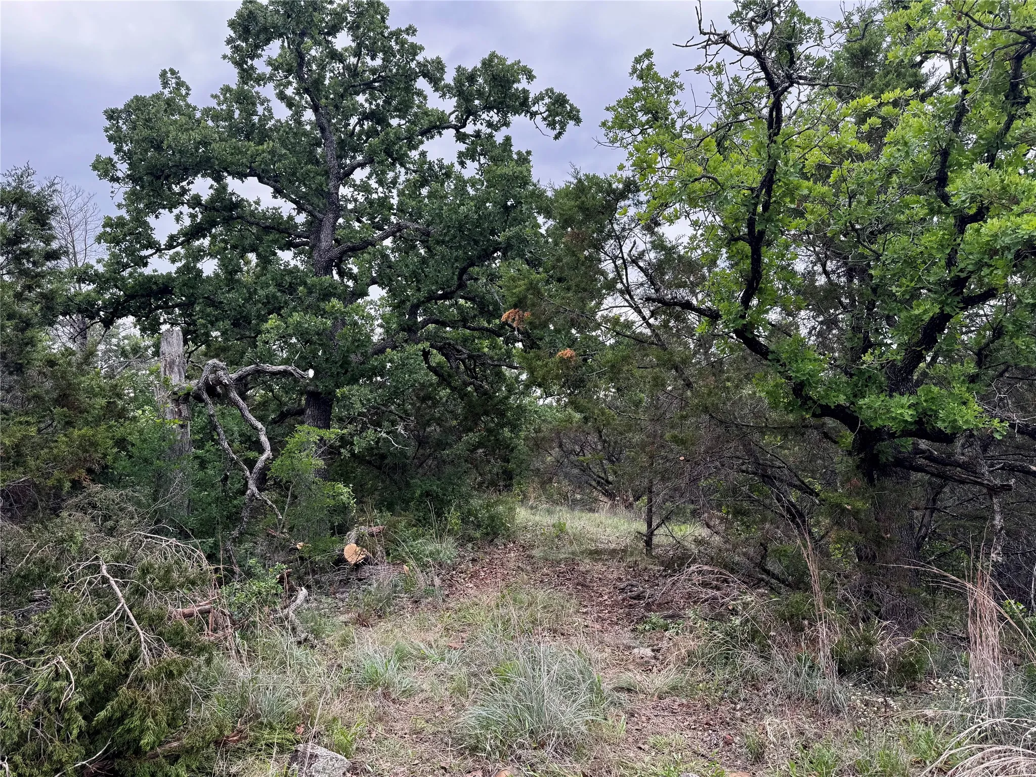 Unimproved Land For Sale in Palo Pinto County , TBD Village Bend Road, Mineral Wells, Texas 76067, 0, 0, Garage spaces, 0 Sqft, built in 0, mls#21243438, Real Estate Agent in Mineral Wells, Homes For Sale in Palo Pinto county, Homes For Sale in Mineral Wells, Realtor in Mineral Wells Texas, Real Estate Brokerage Independent Realty Texas, Luminita Cordes Realtor