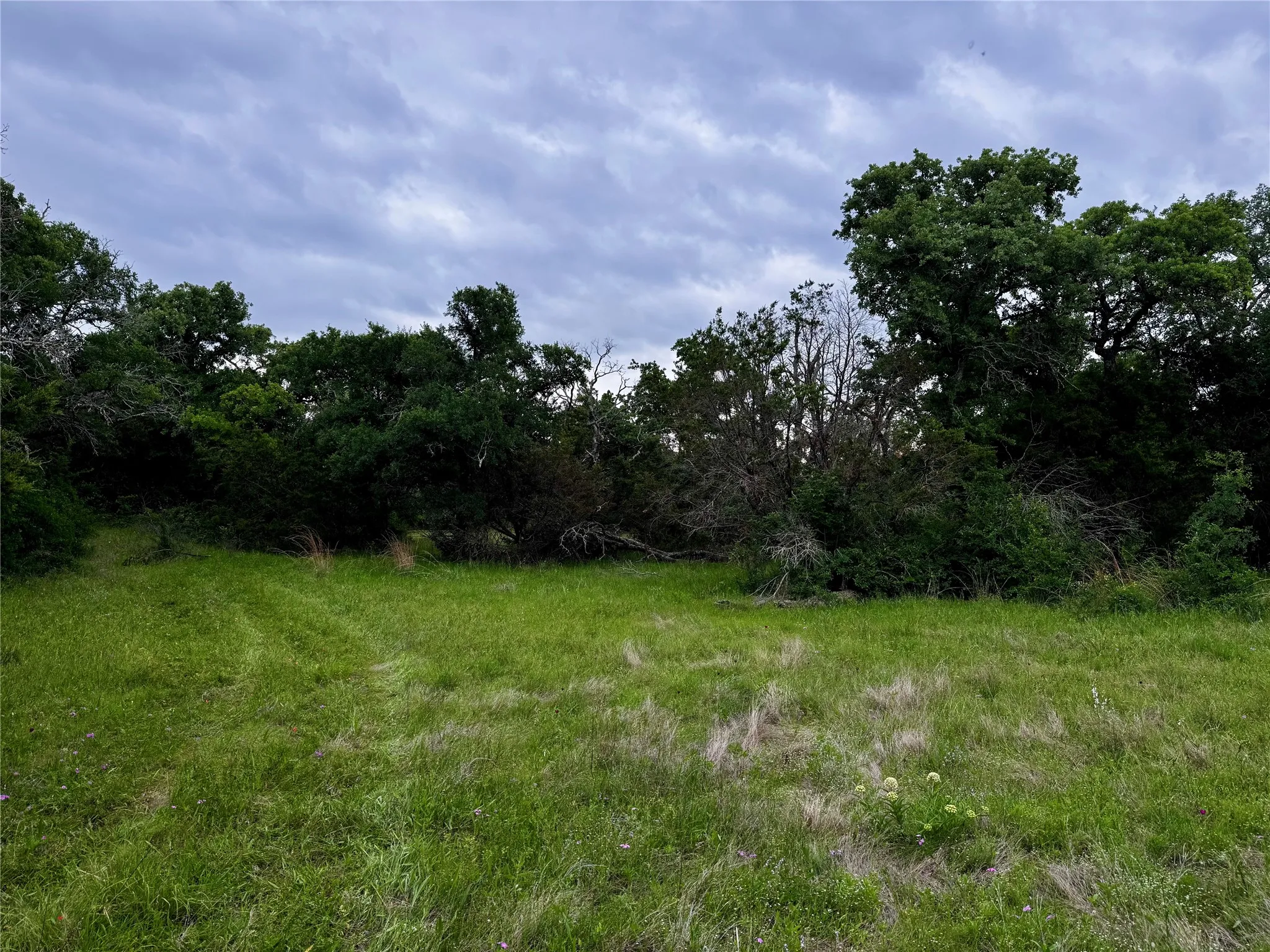 Unimproved Land For Sale in Palo Pinto County , TBD Village Bend Road, Mineral Wells, Texas 76067, 0, 0, Garage spaces, 0 Sqft, built in 0, mls#21243438, Real Estate Agent in Mineral Wells, Homes For Sale in Palo Pinto county, Homes For Sale in Mineral Wells, Realtor in Mineral Wells Texas, Real Estate Brokerage Independent Realty Texas, Luminita Cordes Realtor