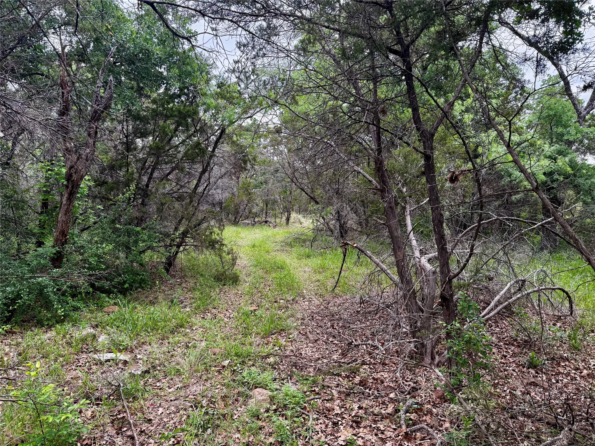 Unimproved Land For Sale in Palo Pinto County , TBD Village Bend Road, Mineral Wells, Texas 76067, 0, 0, Garage spaces, 0 Sqft, built in 0, mls#21243438, Real Estate Agent in Mineral Wells, Homes For Sale in Palo Pinto county, Homes For Sale in Mineral Wells, Realtor in Mineral Wells Texas, Real Estate Brokerage Independent Realty Texas, Luminita Cordes Realtor