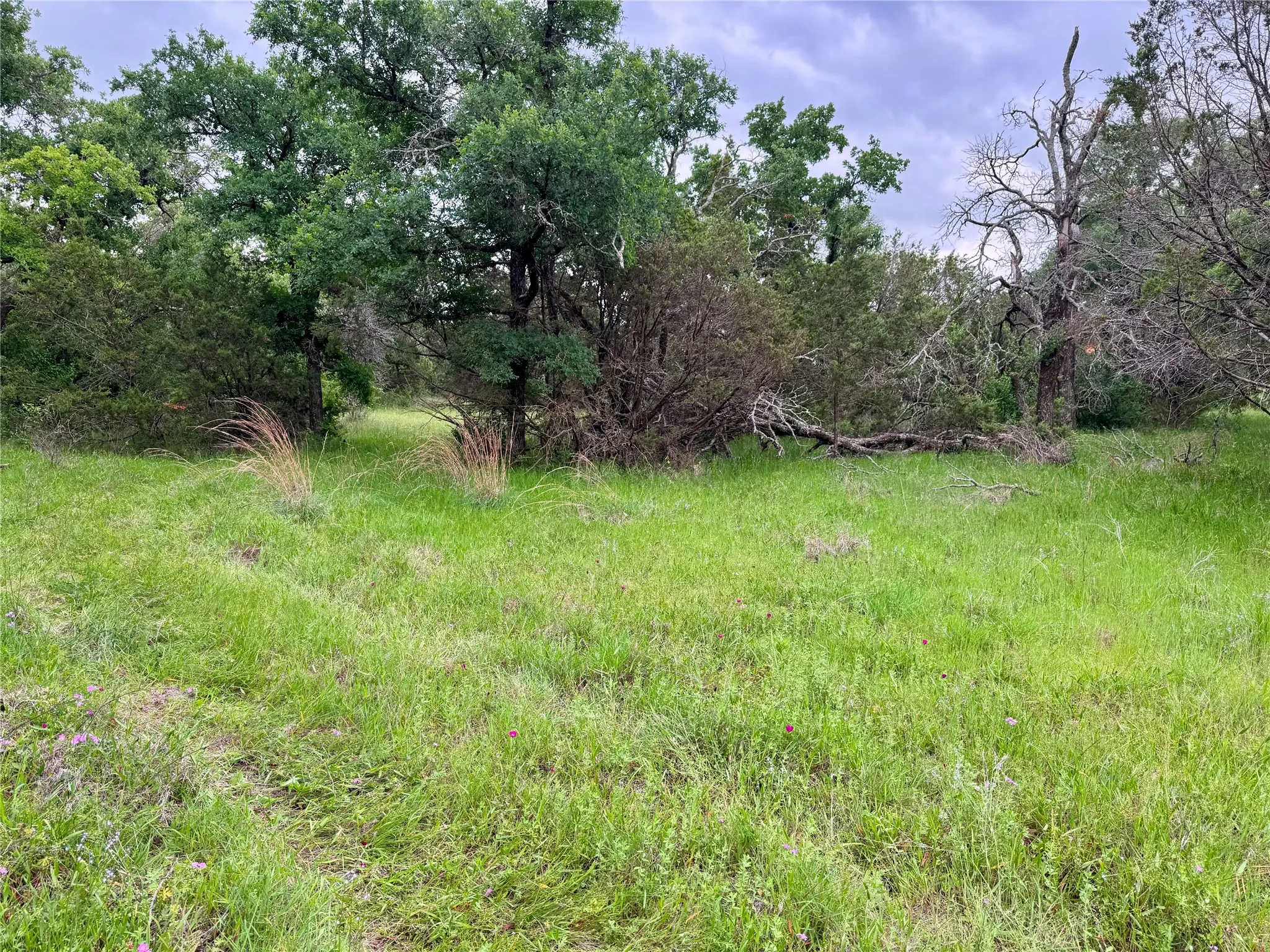 Unimproved Land For Sale in Palo Pinto County , TBD Village Bend Road, Mineral Wells, Texas 76067, 0, 0, Garage spaces, 0 Sqft, built in 0, mls#21243438, Real Estate Agent in Mineral Wells, Homes For Sale in Palo Pinto county, Homes For Sale in Mineral Wells, Realtor in Mineral Wells Texas, Real Estate Brokerage Independent Realty Texas, Luminita Cordes Realtor