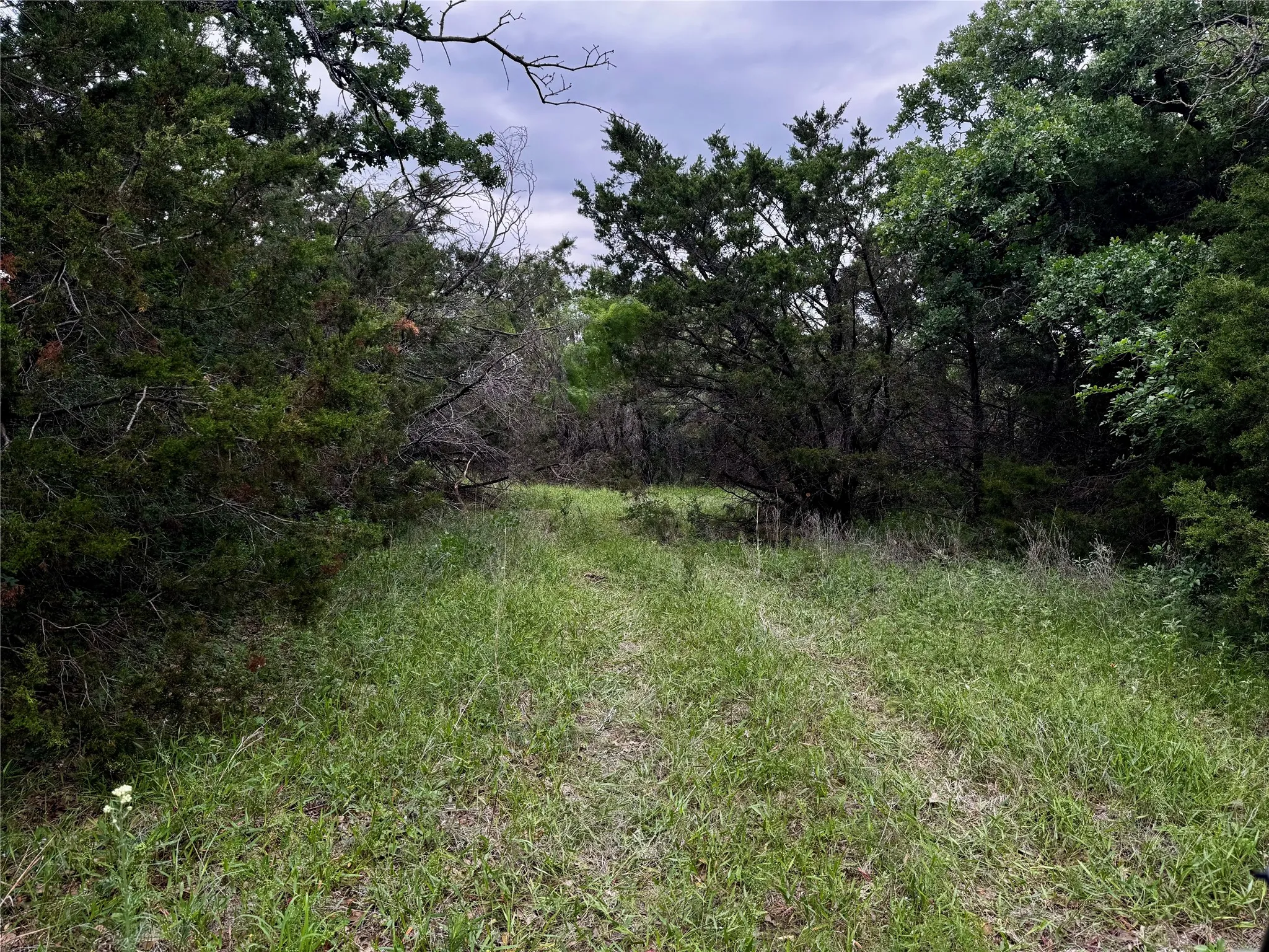 Unimproved Land For Sale in Palo Pinto County , TBD Village Bend Road, Mineral Wells, Texas 76067, 0, 0, Garage spaces, 0 Sqft, built in 0, mls#21243438, Real Estate Agent in Mineral Wells, Homes For Sale in Palo Pinto county, Homes For Sale in Mineral Wells, Realtor in Mineral Wells Texas, Real Estate Brokerage Independent Realty Texas, Luminita Cordes Realtor