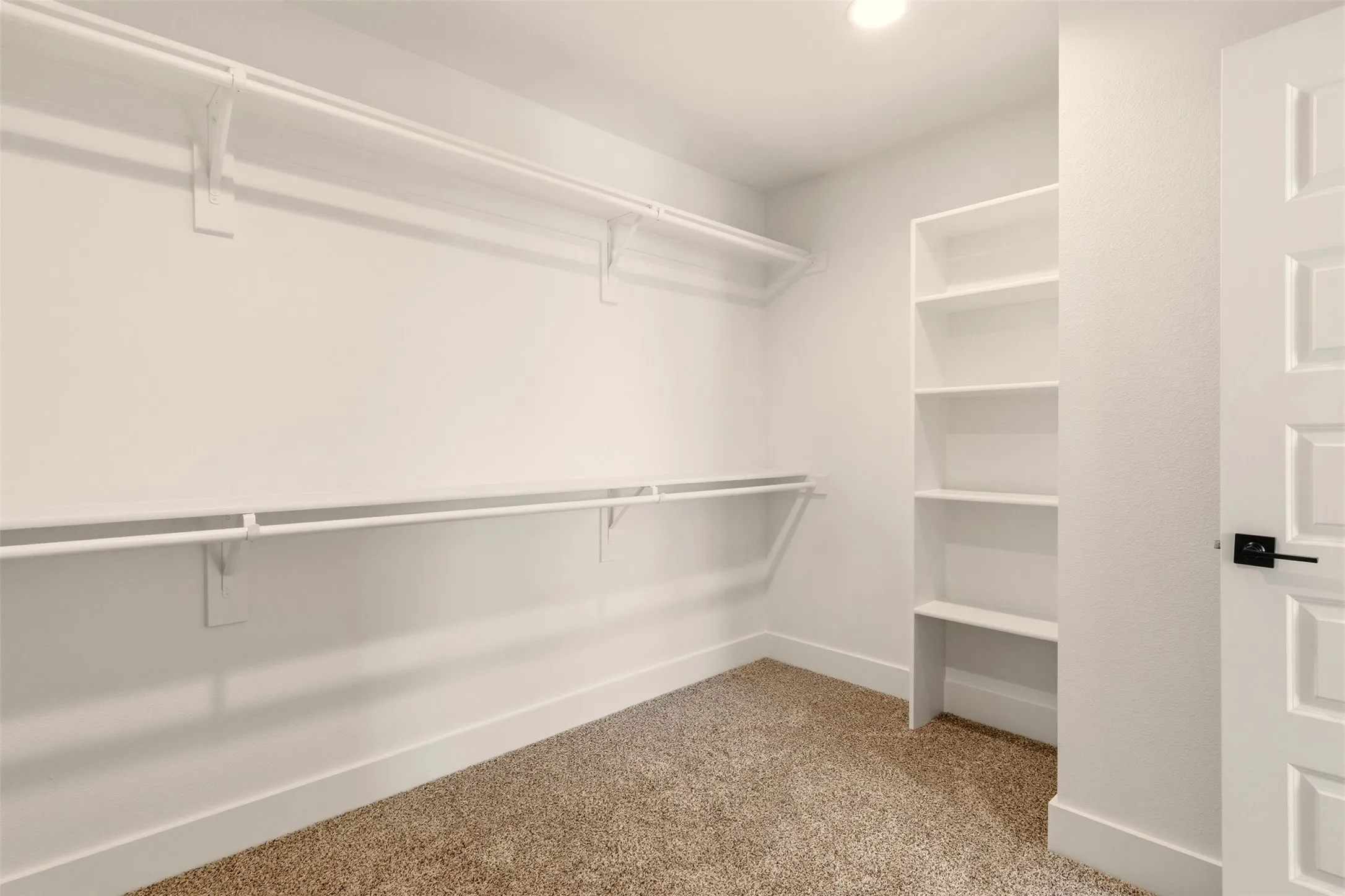 Walk-in closet featuring carpeted flooring, built-in shelving, and hanging rods