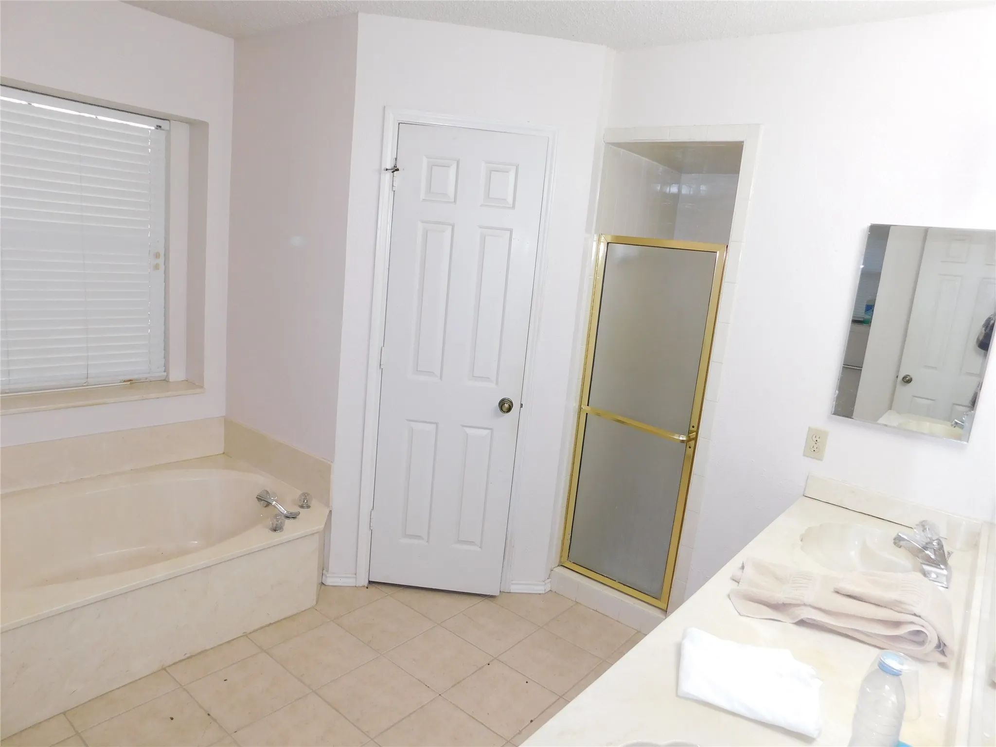 The bathroom features a built-in bathtub, a walk-in shower with a gold-toned frame, and a vanity with a mirror