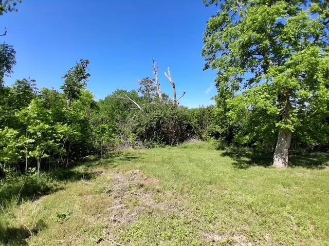 Unimproved Land For Sale in Mc Lennan County , 1017 Caron, Robinson, Texas 76706, 0, 0, Garage spaces, 0 Sqft, built in 0, Price $125,000, mls#21244043, Real Estate Agent in Robinson, Homes For Sale in Mc Lennan county, Homes For Sale in Robinson, Realtor in Robinson Texas, Real Estate Brokerage Independent Realty Texas, Luminita Cordes Realtor