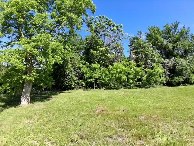 Unimproved Land For Sale in Mc Lennan County , 1017 Caron, Robinson, Texas 76706, 0, 0, Garage spaces, 0 Sqft, built in 0, Price $125,000, mls#21244043, Real Estate Agent in Robinson, Homes For Sale in Mc Lennan county, Homes For Sale in Robinson, Realtor in Robinson Texas, Real Estate Brokerage Independent Realty Texas, Luminita Cordes Realtor