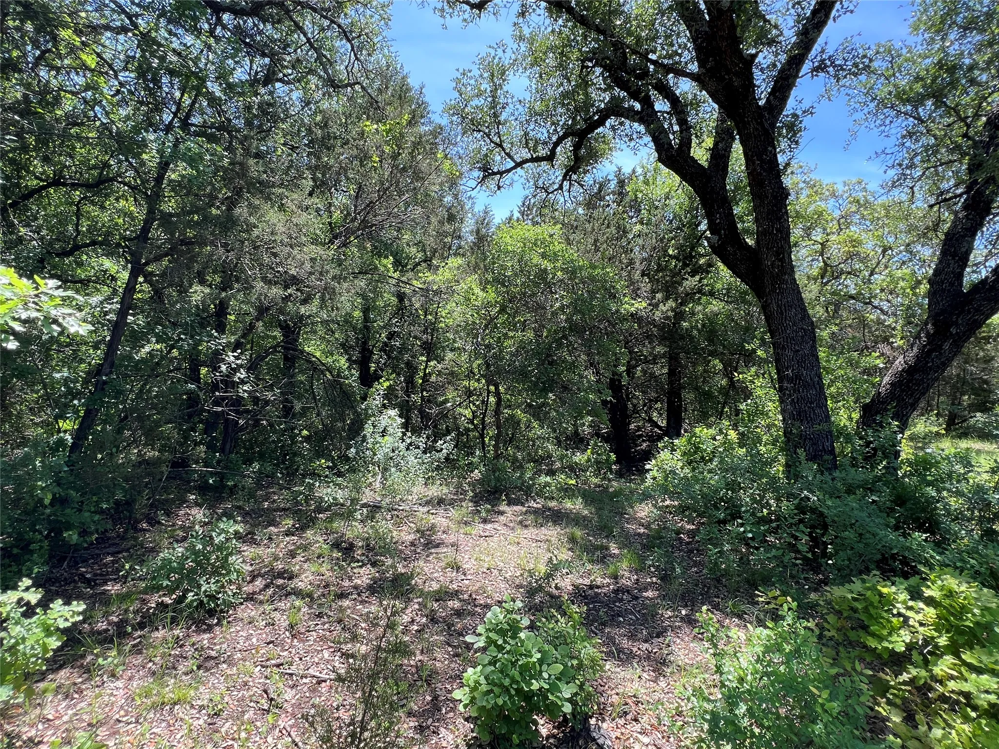 Dry Creek
