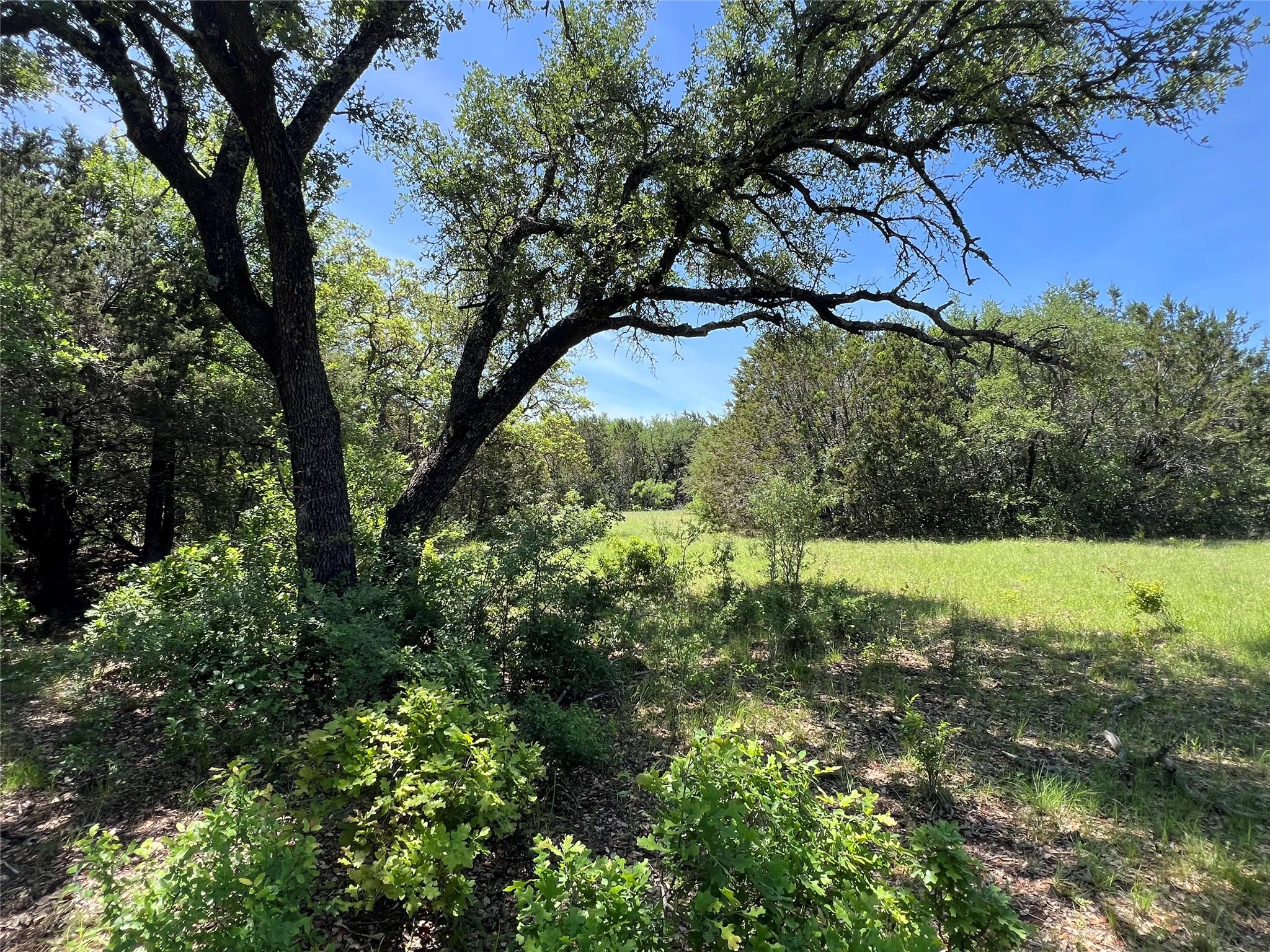 Unimproved Land For Sale in Palo Pinto County , TBD Lake Creek Road, Gordon, Texas 76453, 0, 0, Garage spaces, 0 Sqft, built in 0, Price $194,900, mls#21244046, Real Estate Agent in Gordon, Homes For Sale in Palo Pinto county, Homes For Sale in Gordon, Realtor in Gordon Texas, Real Estate Brokerage Independent Realty Texas, Luminita Cordes Realtor