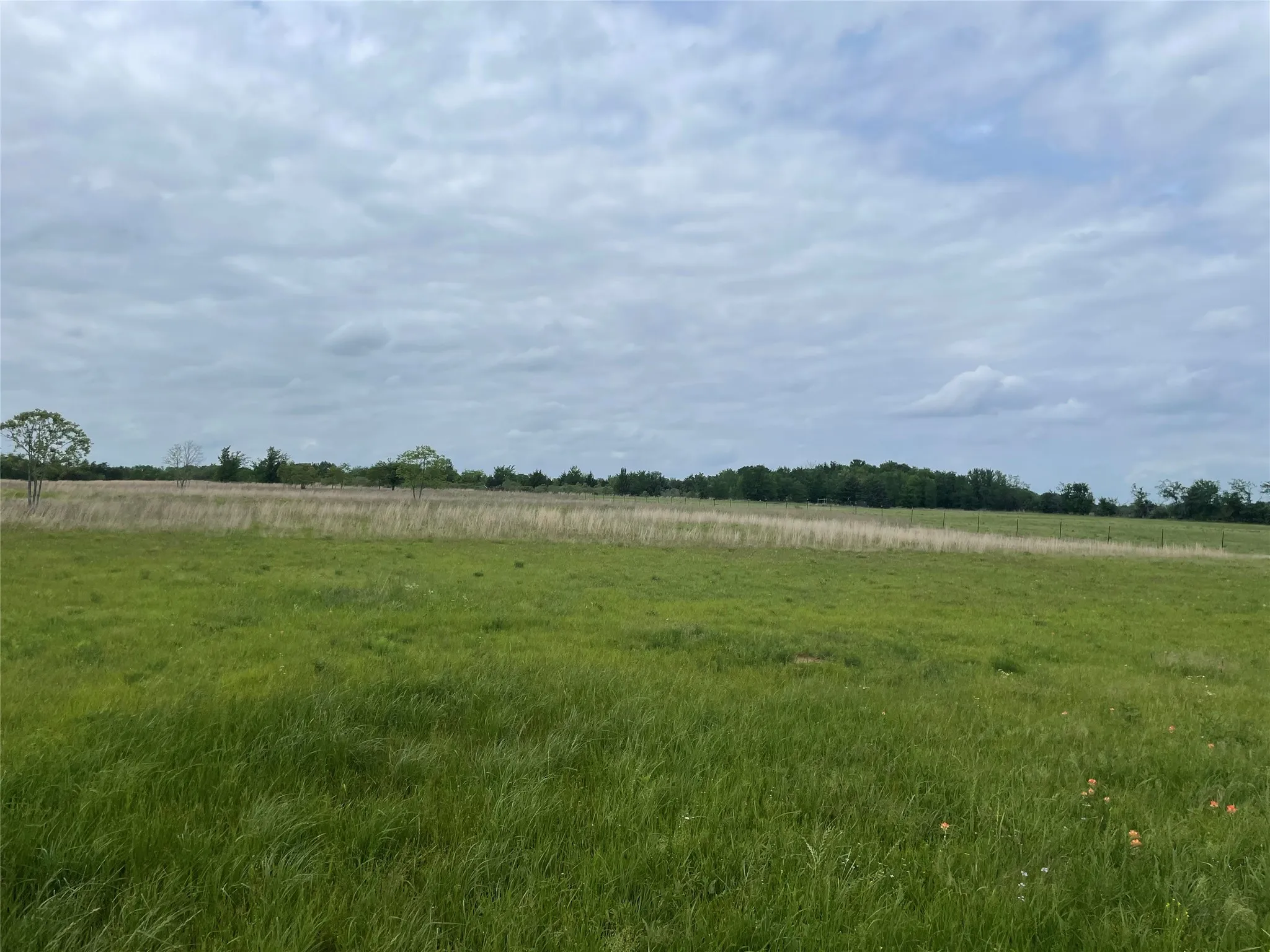 Farm For Sale in Van Zandt County , 712 Vz County Road 3510, Wills Point, Texas 75169, 3 Bedroom, 2 Bathroom, Garage spaces, 1,791 Sqft, built in 2024, mls#21244068, Real Estate Agent in Wills Point, Homes For Sale in Van Zandt county, Homes For Sale in Wills Point, Realtor in Wills Point Texas, Real Estate Brokerage Independent Realty Texas, Luminita Cordes Realtor