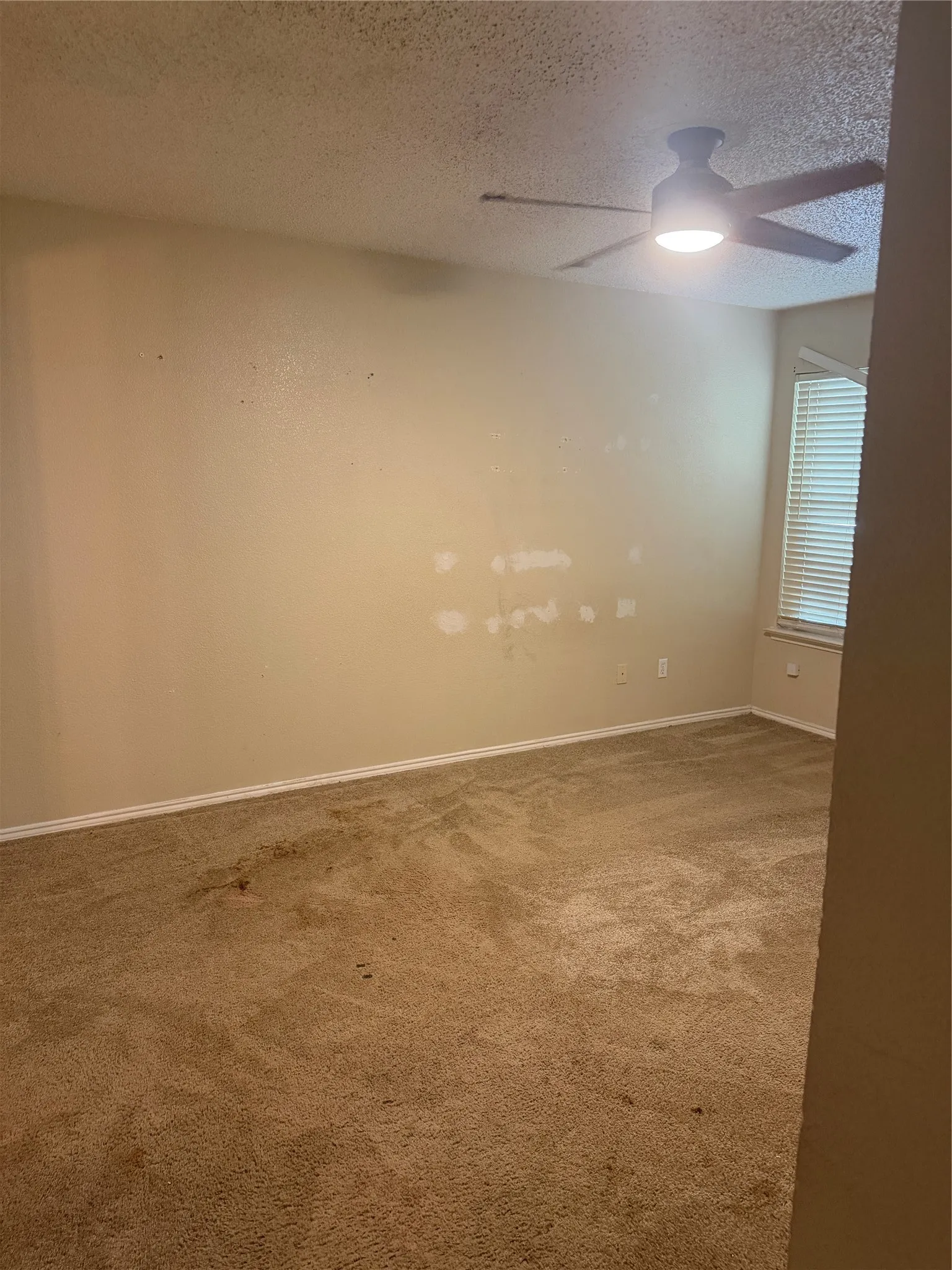 Single Family Residence For Sale in Tarrant County , 6336 Fern Meadow Drive, Fort Worth, Texas 76179, 3 Bedroom, 2 Bathroom, 2 Garage spaces, 1,317 Sqft, built in 1997, Preowned, mls#21242066, Real Estate Agent in Fort Worth, Homes For Sale in Tarrant county, Homes For Sale in Fort Worth, Realtor in Fort Worth Texas, Real Estate Brokerage Independent Realty Texas, Luminita Cordes Realtor