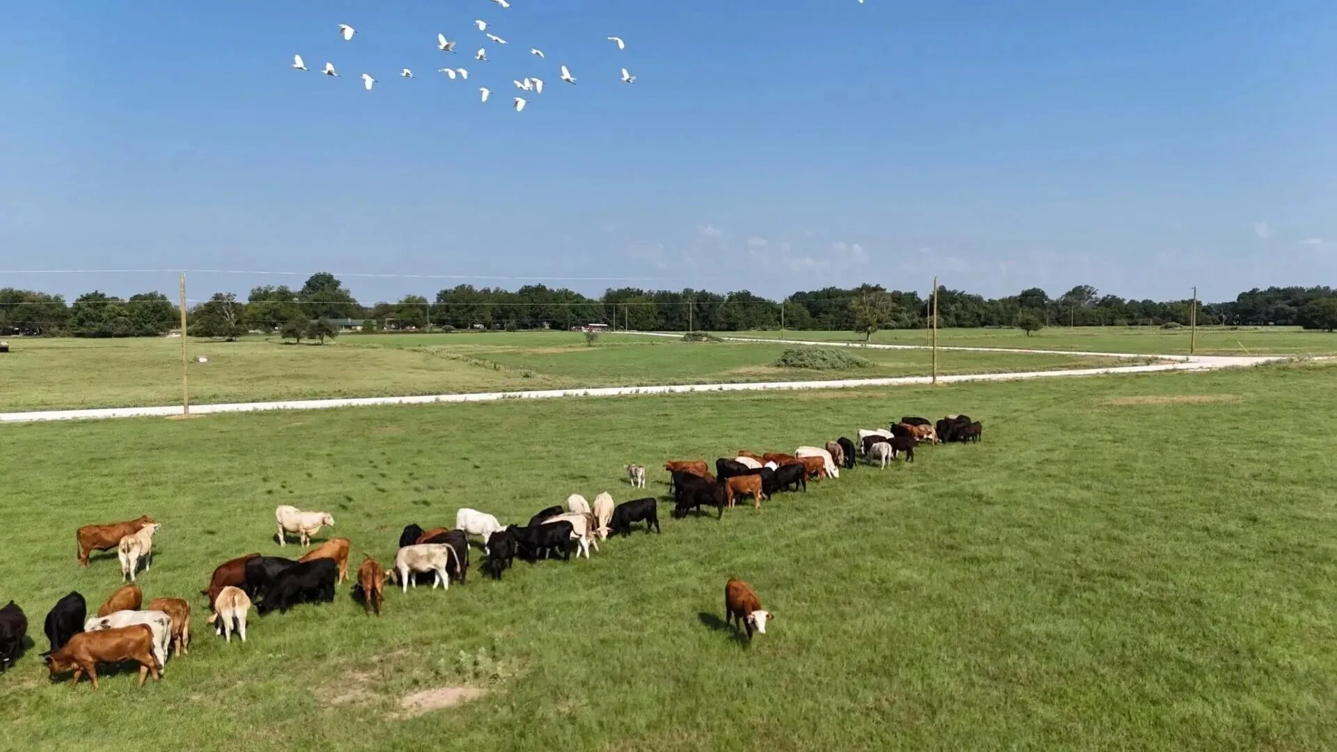 Improved Land For Sale in Limestone County , TBD PR 5463, Mexia, Texas 76667, 0, 0, Garage spaces, 0 Sqft, built in 0, mls#21243010, Real Estate Agent in Mexia, Homes For Sale in Limestone county, Homes For Sale in Mexia, Realtor in Mexia Texas, Real Estate Brokerage Independent Realty Texas, Luminita Cordes Realtor