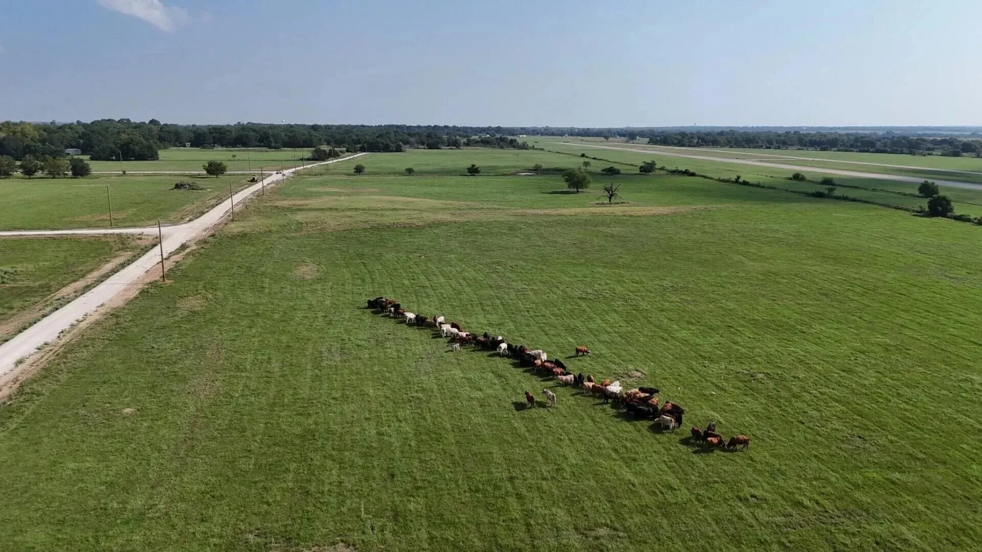 Improved Land For Sale in Limestone County , TBD PR 5463, Mexia, Texas 76667, 0, 0, Garage spaces, 0 Sqft, built in 0, mls#21243010, Real Estate Agent in Mexia, Homes For Sale in Limestone county, Homes For Sale in Mexia, Realtor in Mexia Texas, Real Estate Brokerage Independent Realty Texas, Luminita Cordes Realtor