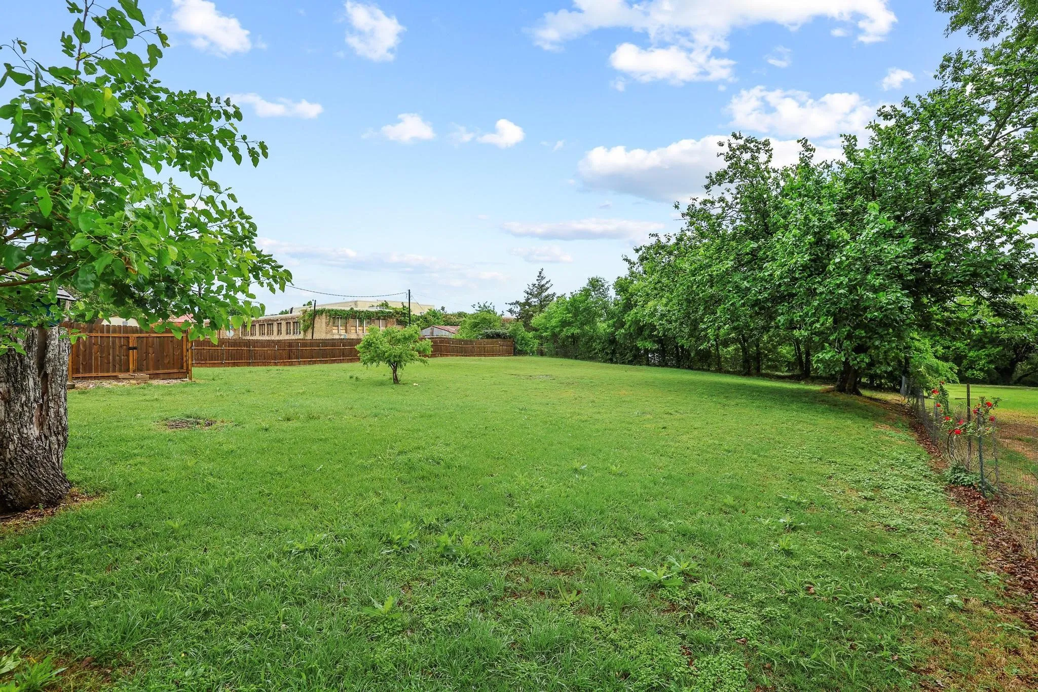 Expansive green lawn with mature trees and a partial wooden fence