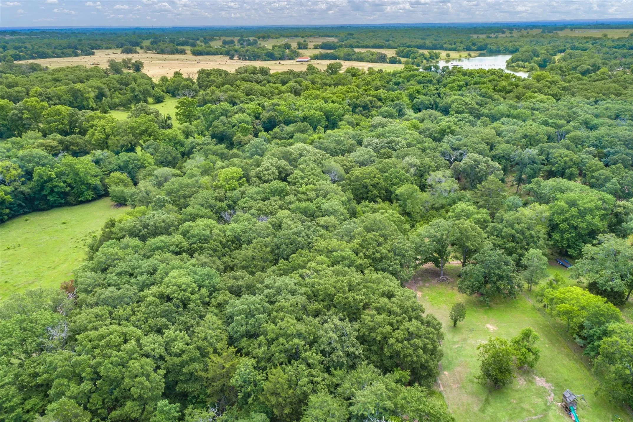 Unimproved Land For Sale in Van Zandt County , 3197 State Highway 110, Grand Saline, Texas 75140, 0, 0, Garage spaces, 0 Sqft, built in 0, Price $128,500, mls#21244404, Real Estate Agent in Grand Saline, Homes For Sale in Van Zandt county, Homes For Sale in Grand Saline, Realtor in Grand Saline Texas, Real Estate Brokerage Independent Realty Texas, Luminita Cordes Realtor