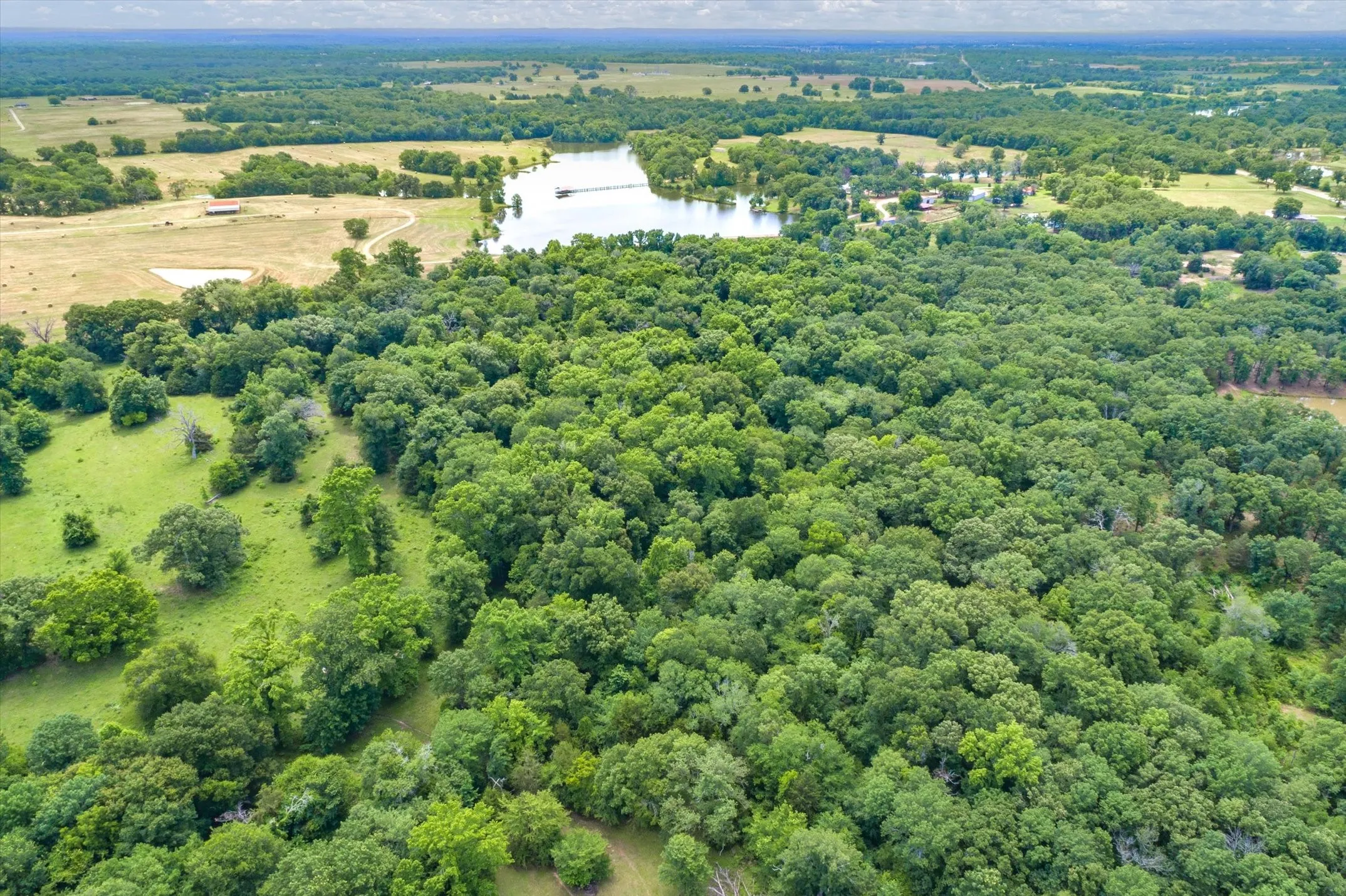 Unimproved Land For Sale in Van Zandt County , 3197 State Highway 110, Grand Saline, Texas 75140, 0, 0, Garage spaces, 0 Sqft, built in 0, Price $128,500, mls#21244404, Real Estate Agent in Grand Saline, Homes For Sale in Van Zandt county, Homes For Sale in Grand Saline, Realtor in Grand Saline Texas, Real Estate Brokerage Independent Realty Texas, Luminita Cordes Realtor