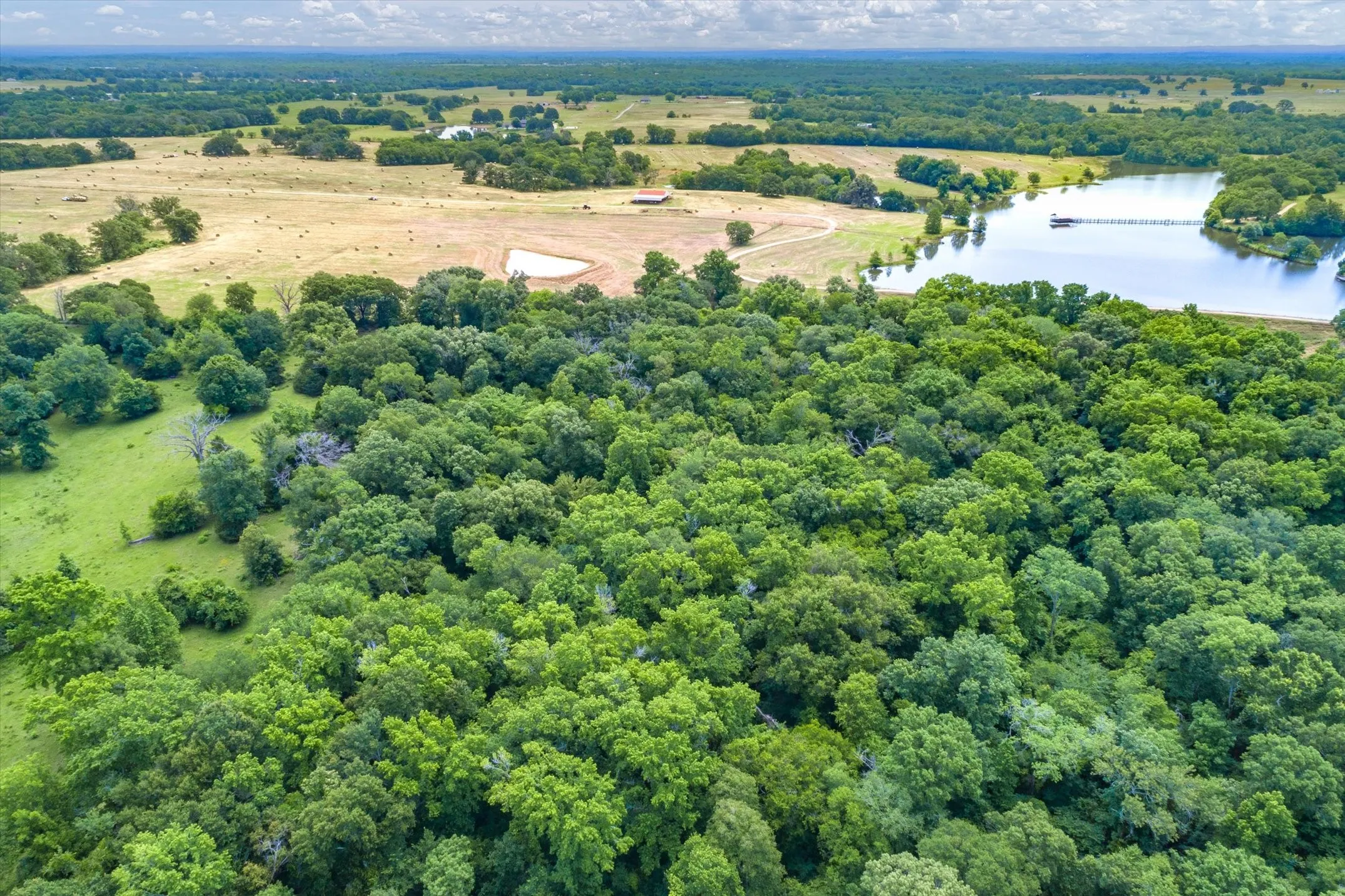 Unimproved Land For Sale in Van Zandt County , 3197 State Highway 110, Grand Saline, Texas 75140, 0, 0, Garage spaces, 0 Sqft, built in 0, Price $128,500, mls#21244404, Real Estate Agent in Grand Saline, Homes For Sale in Van Zandt county, Homes For Sale in Grand Saline, Realtor in Grand Saline Texas, Real Estate Brokerage Independent Realty Texas, Luminita Cordes Realtor