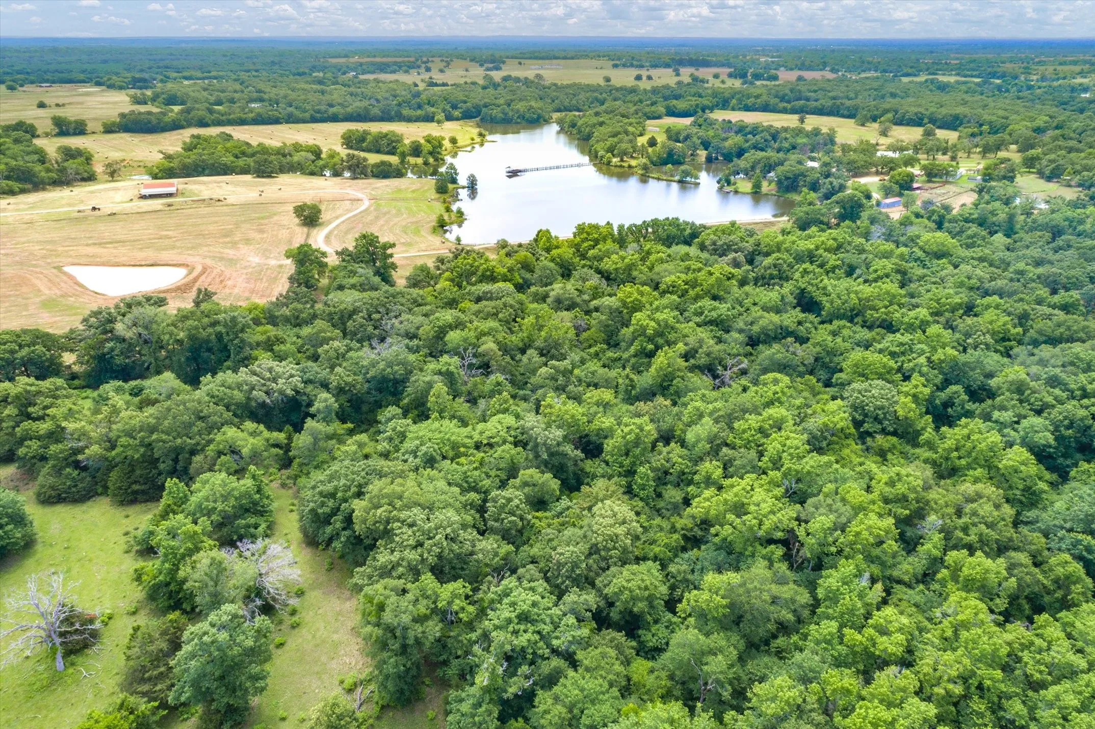 Unimproved Land For Sale in Van Zandt County , 3197 State Highway 110, Grand Saline, Texas 75140, 0, 0, Garage spaces, 0 Sqft, built in 0, Price $128,500, mls#21244404, Real Estate Agent in Grand Saline, Homes For Sale in Van Zandt county, Homes For Sale in Grand Saline, Realtor in Grand Saline Texas, Real Estate Brokerage Independent Realty Texas, Luminita Cordes Realtor
