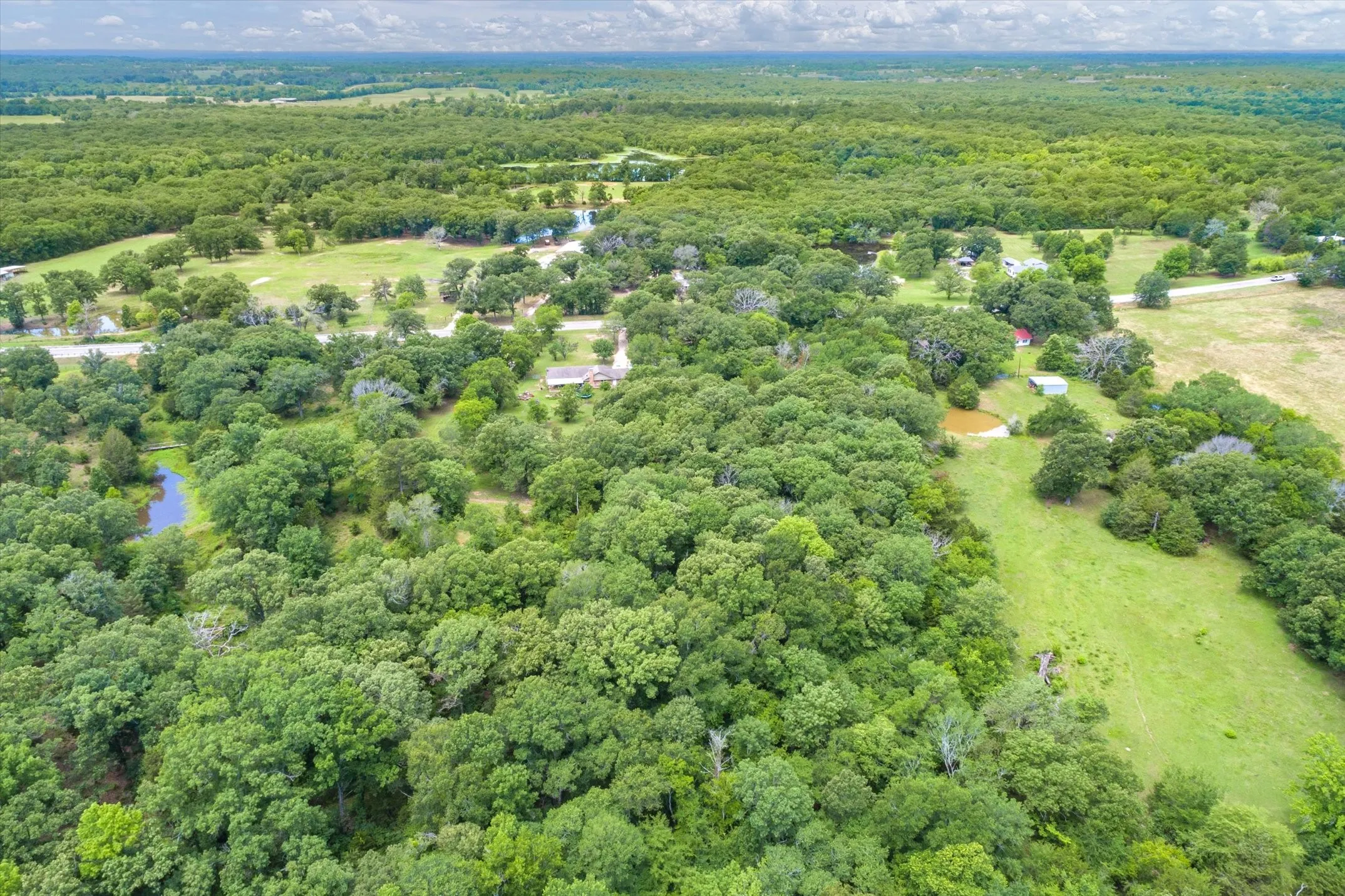 Unimproved Land For Sale in Van Zandt County , 3197 State Highway 110, Grand Saline, Texas 75140, 0, 0, Garage spaces, 0 Sqft, built in 0, Price $128,500, mls#21244404, Real Estate Agent in Grand Saline, Homes For Sale in Van Zandt county, Homes For Sale in Grand Saline, Realtor in Grand Saline Texas, Real Estate Brokerage Independent Realty Texas, Luminita Cordes Realtor
