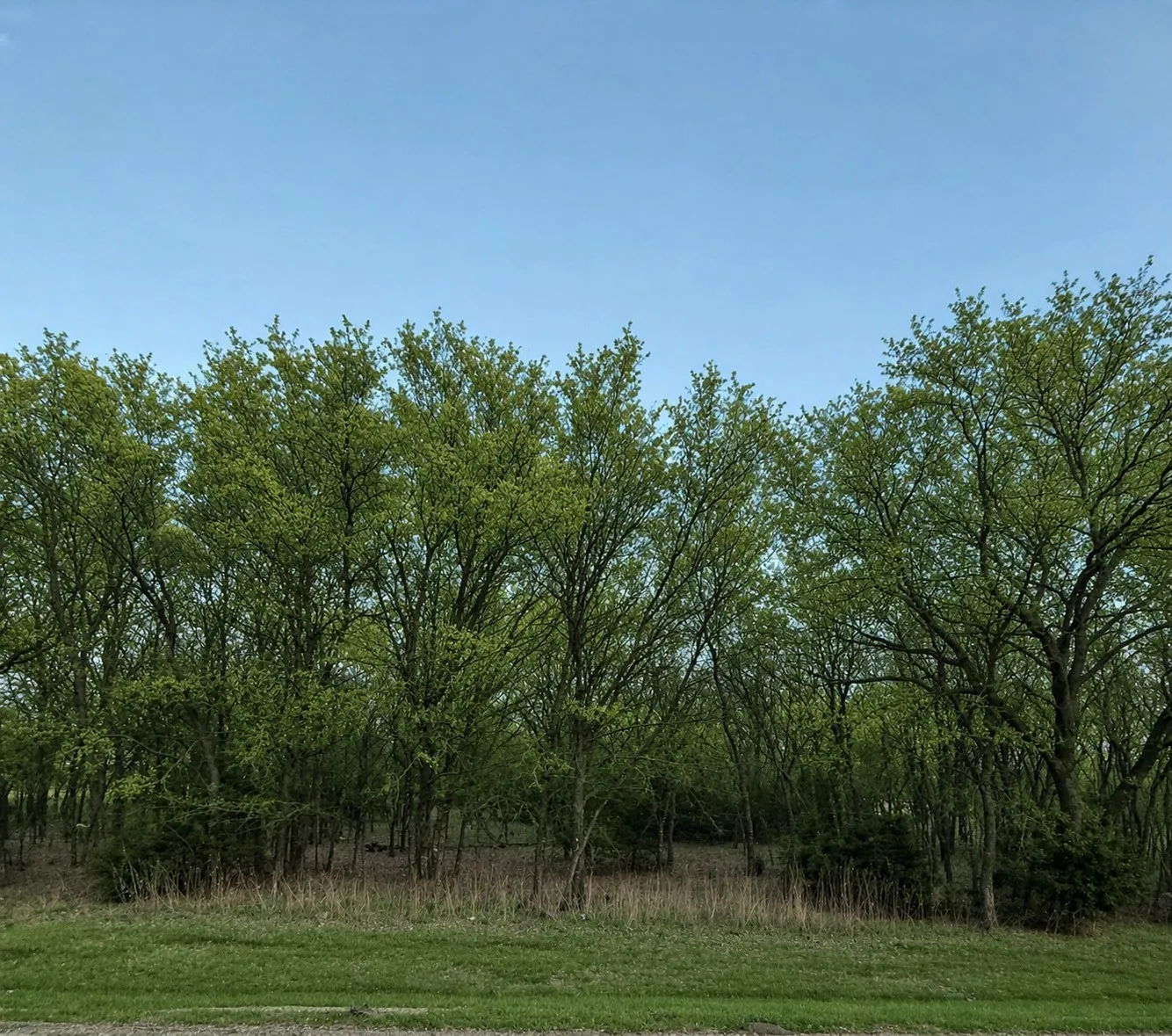 Unimproved Land For Sale in Tarrant County , 8093 Canja Drive, Fort Worth, Texas 76126, 0, 0, Garage spaces, 0 Sqft, built in 0, mls#21222658, Real Estate Agent in Fort Worth, Homes For Sale in Tarrant county, Homes For Sale in Fort Worth, Realtor in Fort Worth Texas, Real Estate Brokerage Independent Realty Texas, Luminita Cordes Realtor