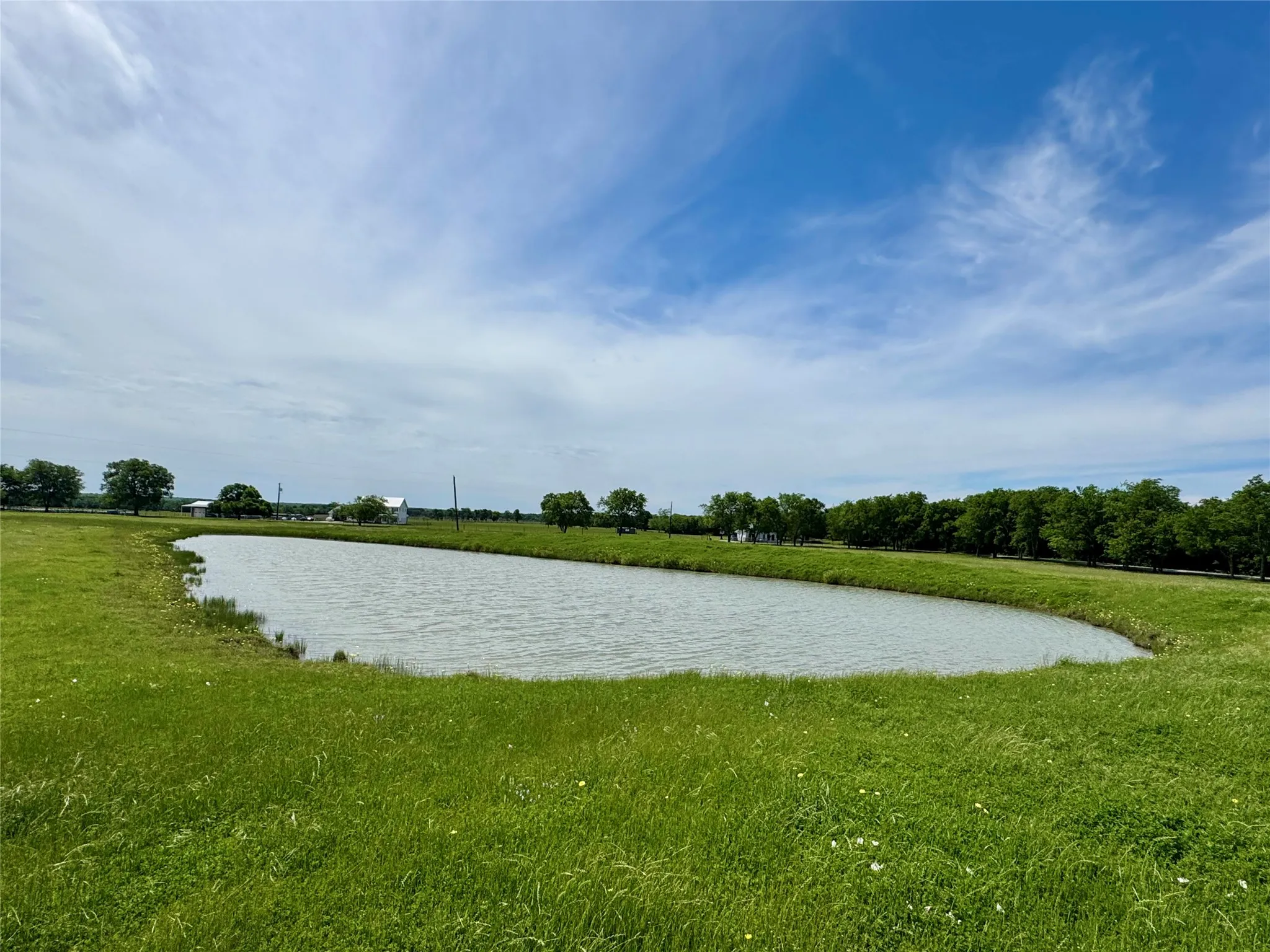 Expansive pond surrounded by green grass and mature trees