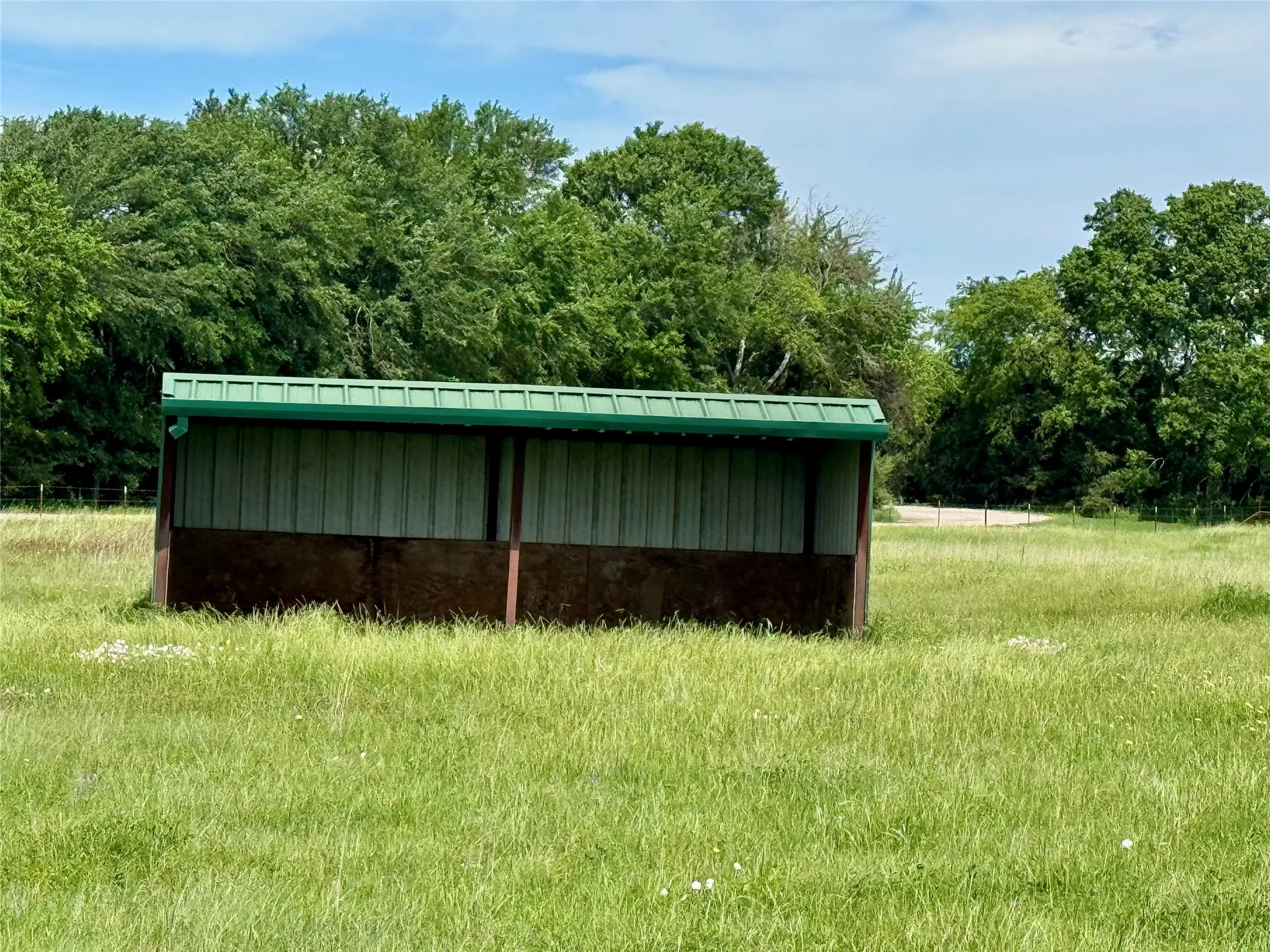 Freestanding metal shed featuring a green roof and two-tone siding, situated in an open grassy area with a backdrop of mature trees