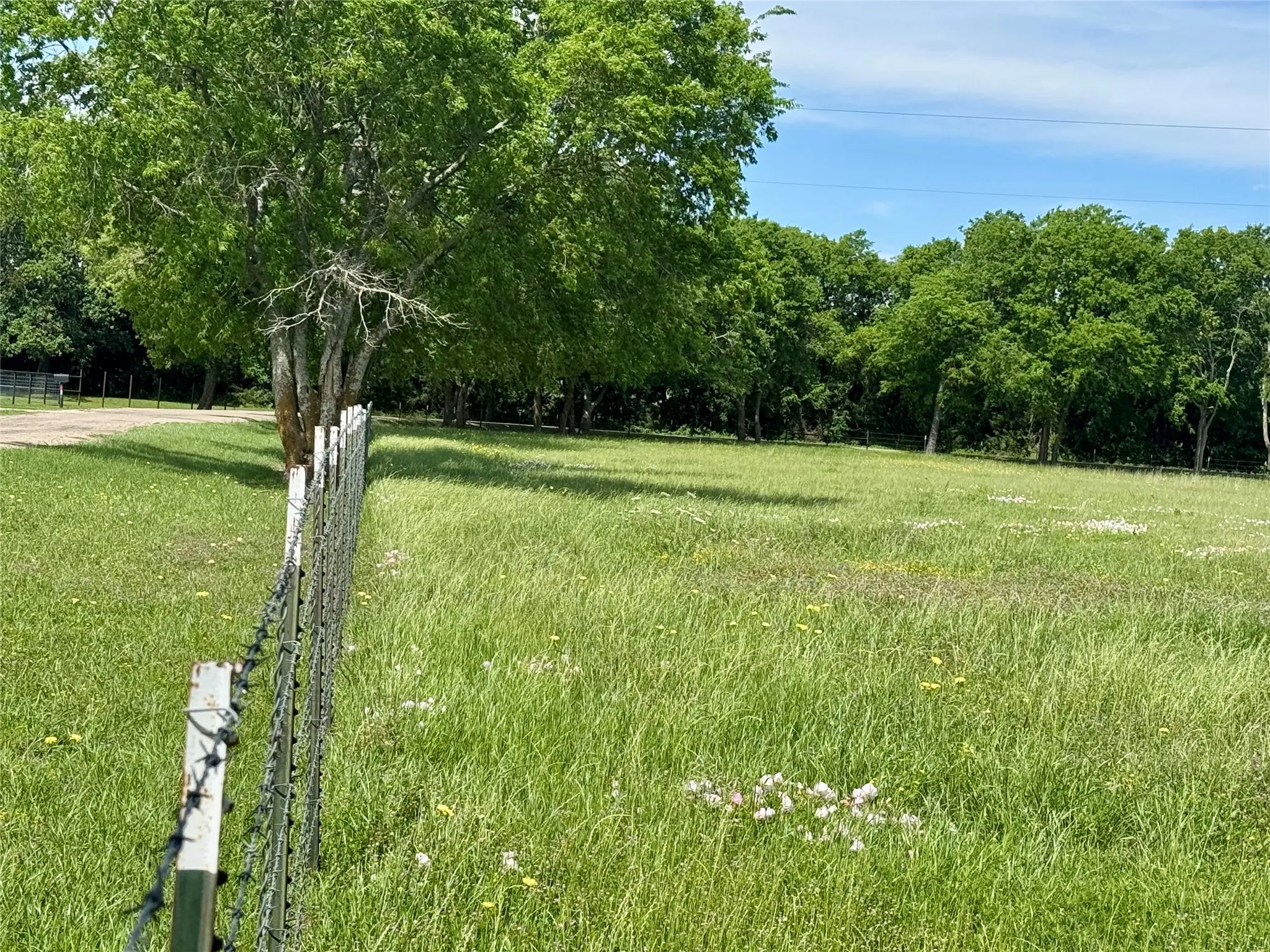 Expansive green acreage featuring mature trees and a wire fence