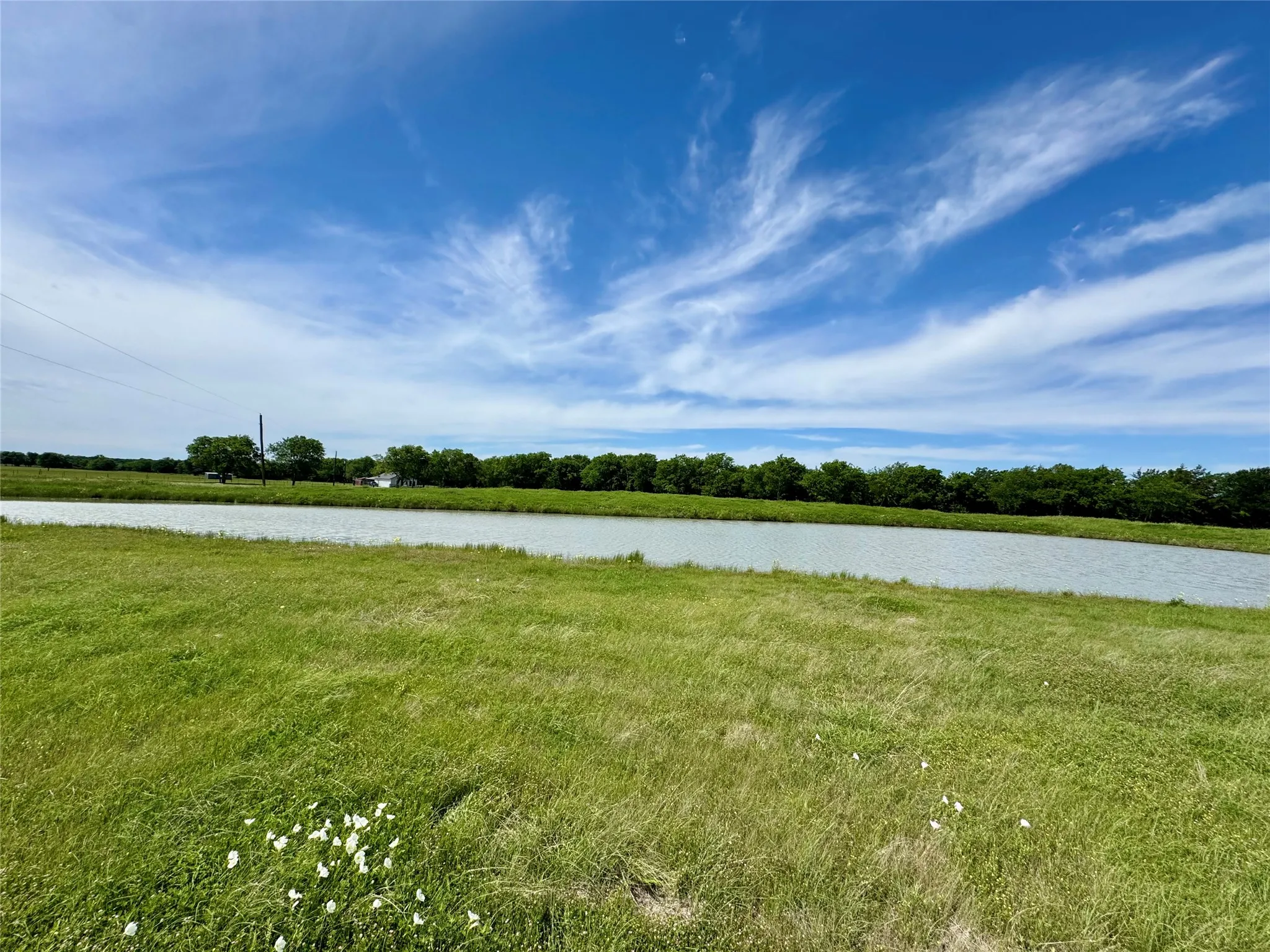 Expansive green space featuring a water body and a distant tree line under a broad sky
