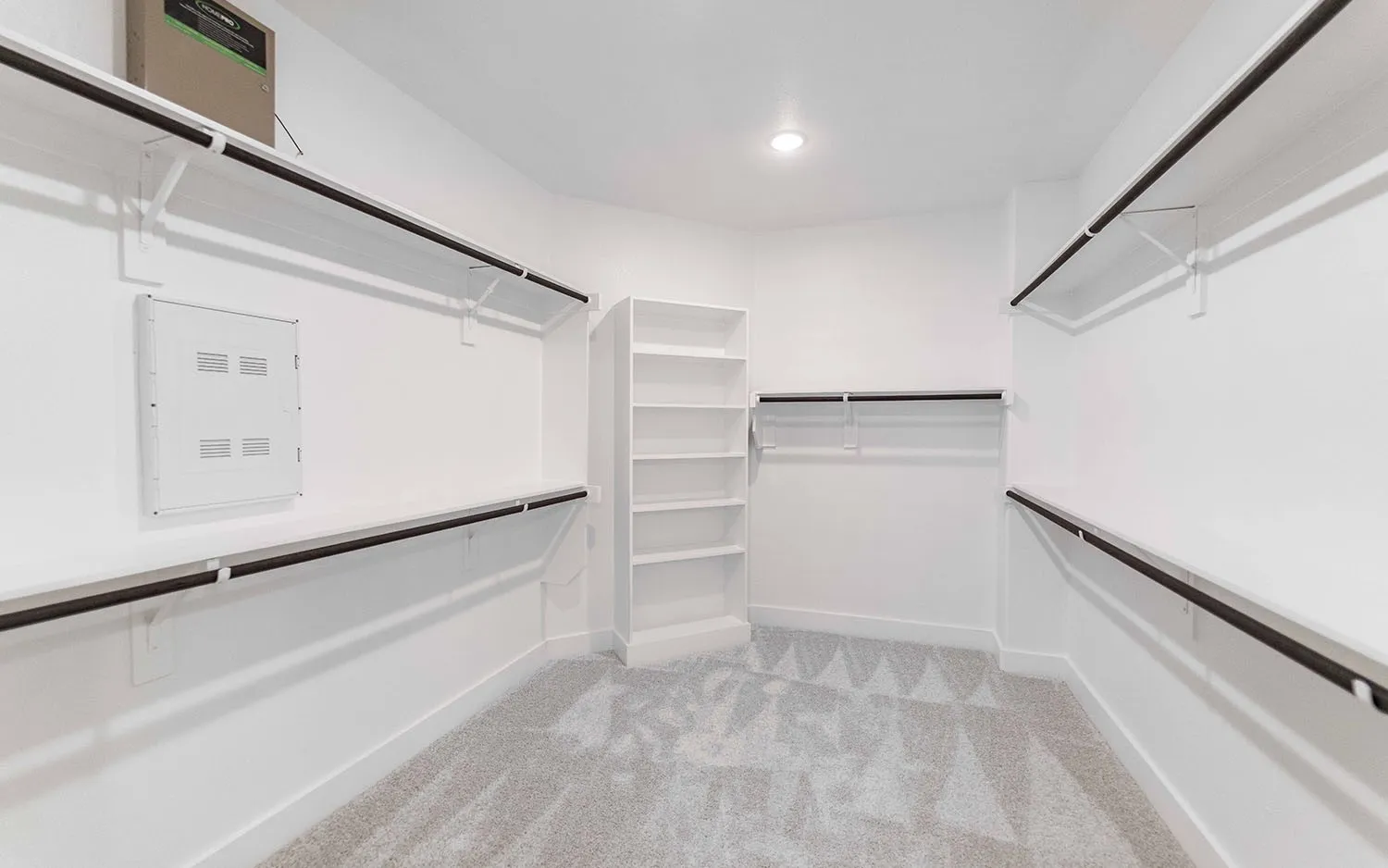 Walk-in closet featuring light grey patterned carpet, white walls, and built-in shelving