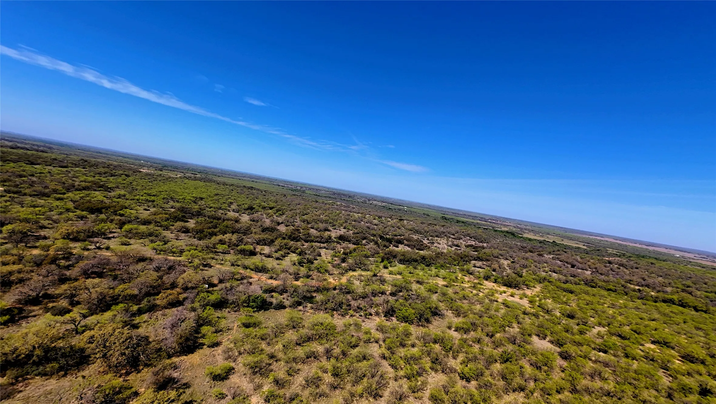 Unimproved Land For Sale in Stephens County , TBD C R 195, Breckenridge, Texas 76424, 0, 0, Garage spaces, 0 Sqft, built in 0, Price $2,055,000, mls#21201465, Real Estate Agent in Breckenridge, Homes For Sale in Stephens county, Homes For Sale in Breckenridge, Realtor in Breckenridge Texas, Real Estate Brokerage Independent Realty Texas, Luminita Cordes Realtor