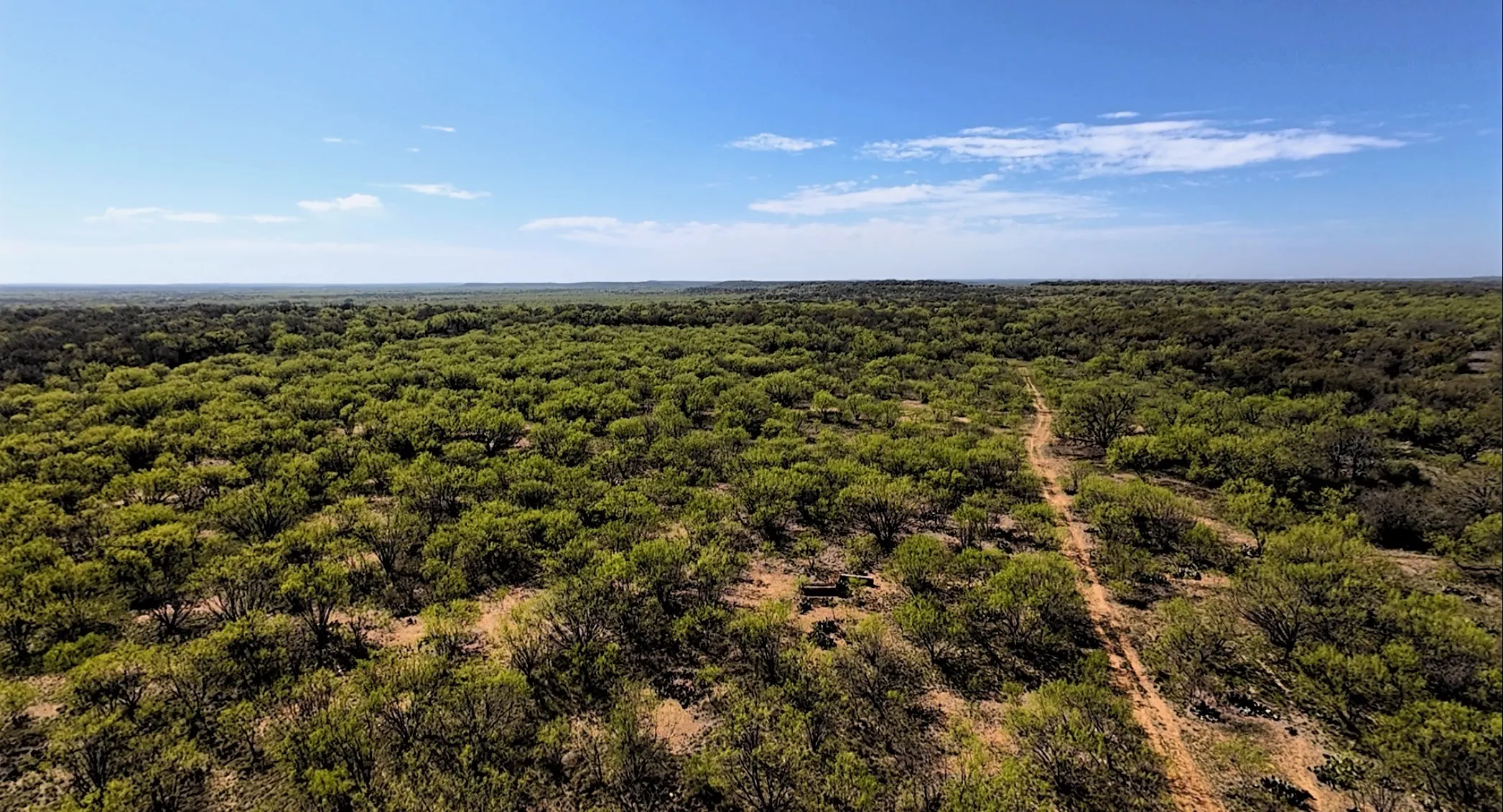 Unimproved Land For Sale in Stephens County , TBD C R 195, Breckenridge, Texas 76424, 0, 0, Garage spaces, 0 Sqft, built in 0, Price $2,055,000, mls#21201465, Real Estate Agent in Breckenridge, Homes For Sale in Stephens county, Homes For Sale in Breckenridge, Realtor in Breckenridge Texas, Real Estate Brokerage Independent Realty Texas, Luminita Cordes Realtor