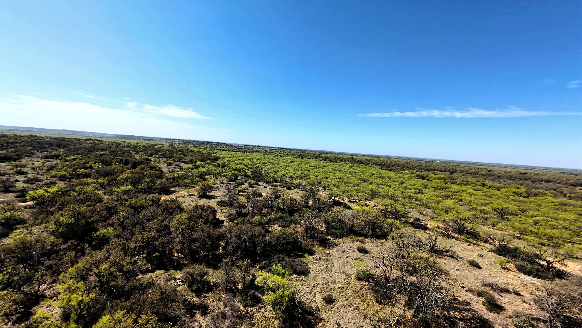 Unimproved Land For Sale in Stephens County , TBD C R 195, Breckenridge, Texas 76424, 0, 0, Garage spaces, 0 Sqft, built in 0, Price $2,055,000, mls#21201465, Real Estate Agent in Breckenridge, Homes For Sale in Stephens county, Homes For Sale in Breckenridge, Realtor in Breckenridge Texas, Real Estate Brokerage Independent Realty Texas, Luminita Cordes Realtor