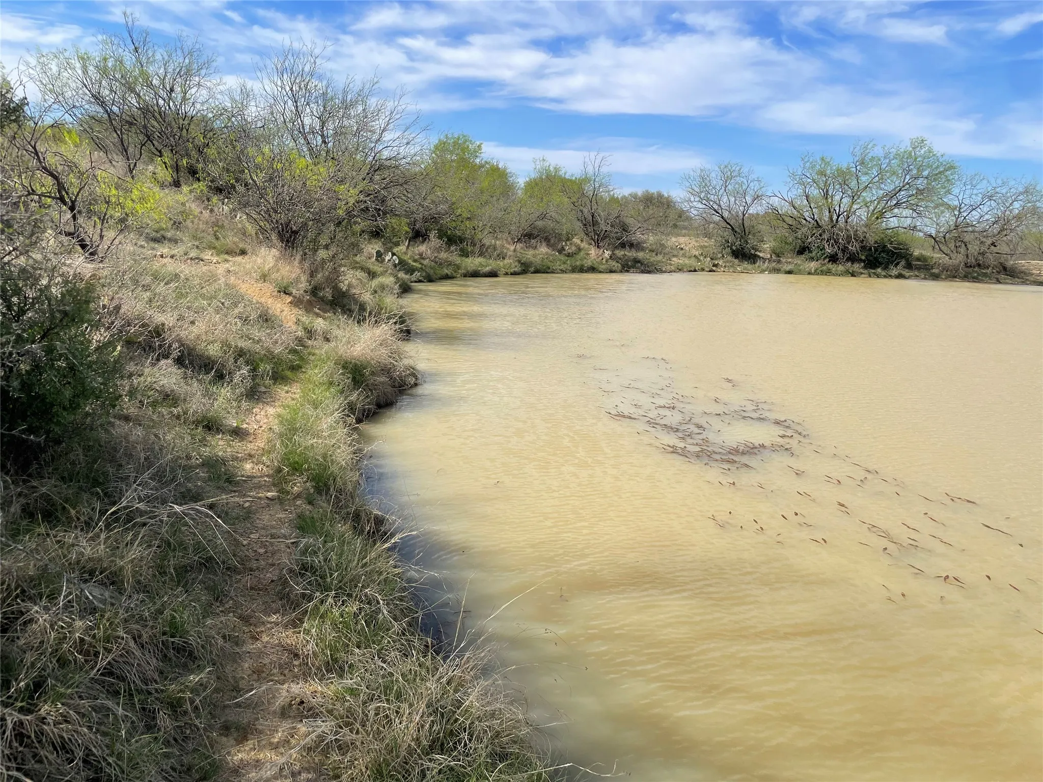 Unimproved Land For Sale in Stephens County , TBD C R 195, Breckenridge, Texas 76424, 0, 0, Garage spaces, 0 Sqft, built in 0, Price $2,055,000, mls#21201465, Real Estate Agent in Breckenridge, Homes For Sale in Stephens county, Homes For Sale in Breckenridge, Realtor in Breckenridge Texas, Real Estate Brokerage Independent Realty Texas, Luminita Cordes Realtor