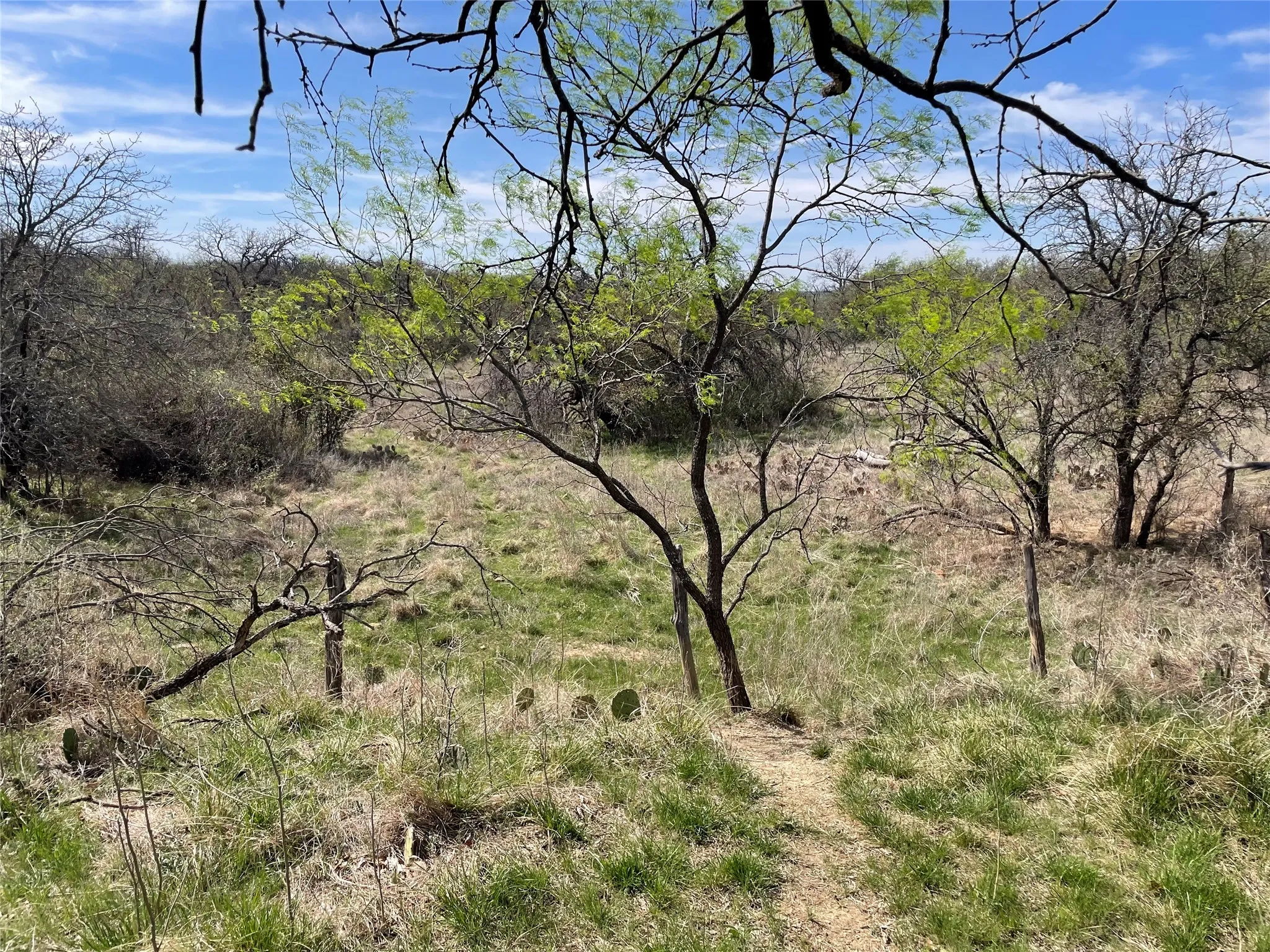 Unimproved Land For Sale in Stephens County , TBD C R 195, Breckenridge, Texas 76424, 0, 0, Garage spaces, 0 Sqft, built in 0, Price $2,055,000, mls#21201465, Real Estate Agent in Breckenridge, Homes For Sale in Stephens county, Homes For Sale in Breckenridge, Realtor in Breckenridge Texas, Real Estate Brokerage Independent Realty Texas, Luminita Cordes Realtor