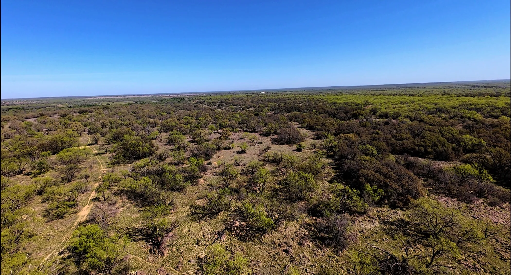 Unimproved Land For Sale in Stephens County , TBD C R 195, Breckenridge, Texas 76424, 0, 0, Garage spaces, 0 Sqft, built in 0, Price $2,055,000, mls#21201465, Real Estate Agent in Breckenridge, Homes For Sale in Stephens county, Homes For Sale in Breckenridge, Realtor in Breckenridge Texas, Real Estate Brokerage Independent Realty Texas, Luminita Cordes Realtor