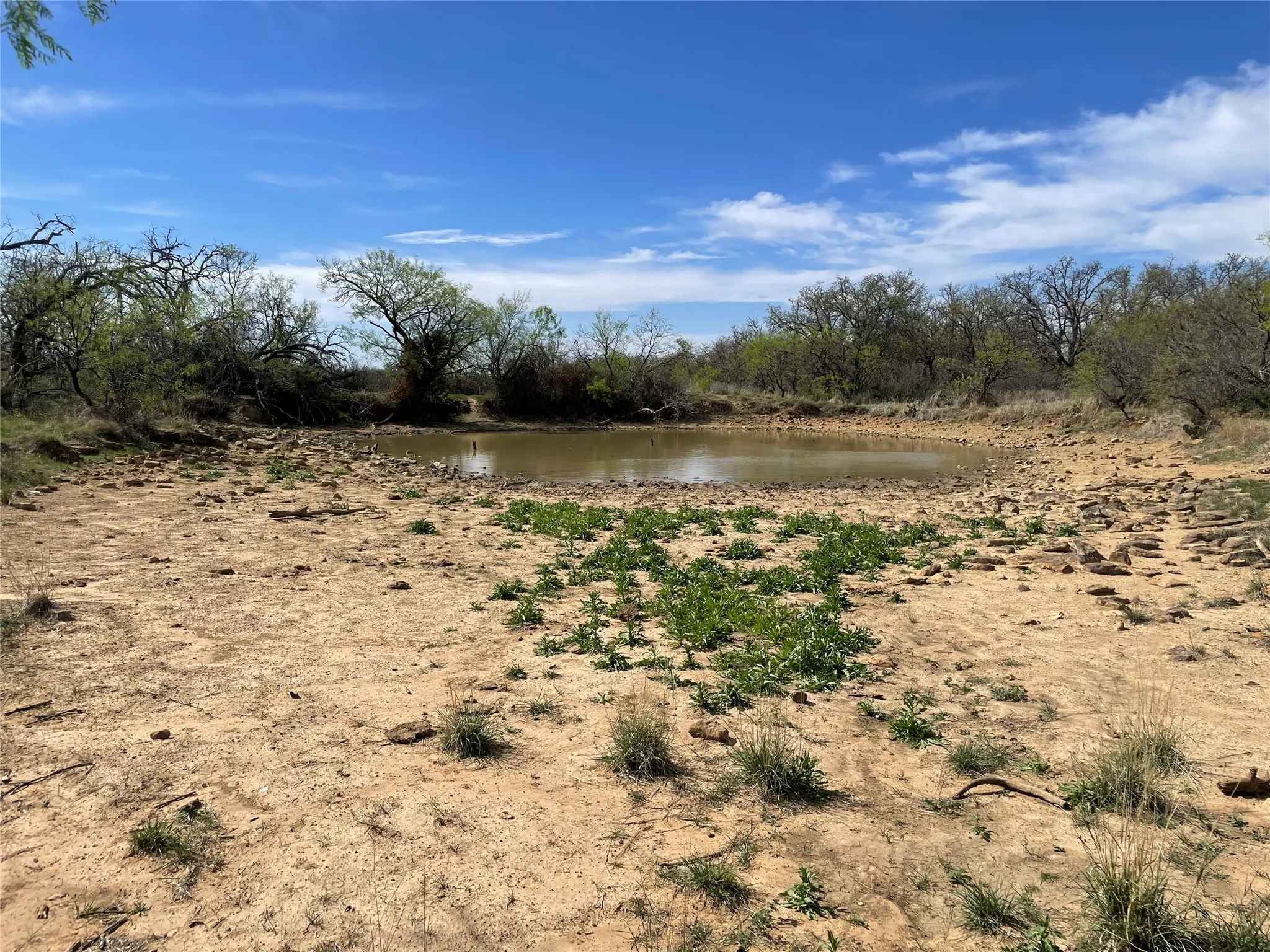Unimproved Land For Sale in Stephens County , TBD C R 195, Breckenridge, Texas 76424, 0, 0, Garage spaces, 0 Sqft, built in 0, Price $2,055,000, mls#21201465, Real Estate Agent in Breckenridge, Homes For Sale in Stephens county, Homes For Sale in Breckenridge, Realtor in Breckenridge Texas, Real Estate Brokerage Independent Realty Texas, Luminita Cordes Realtor