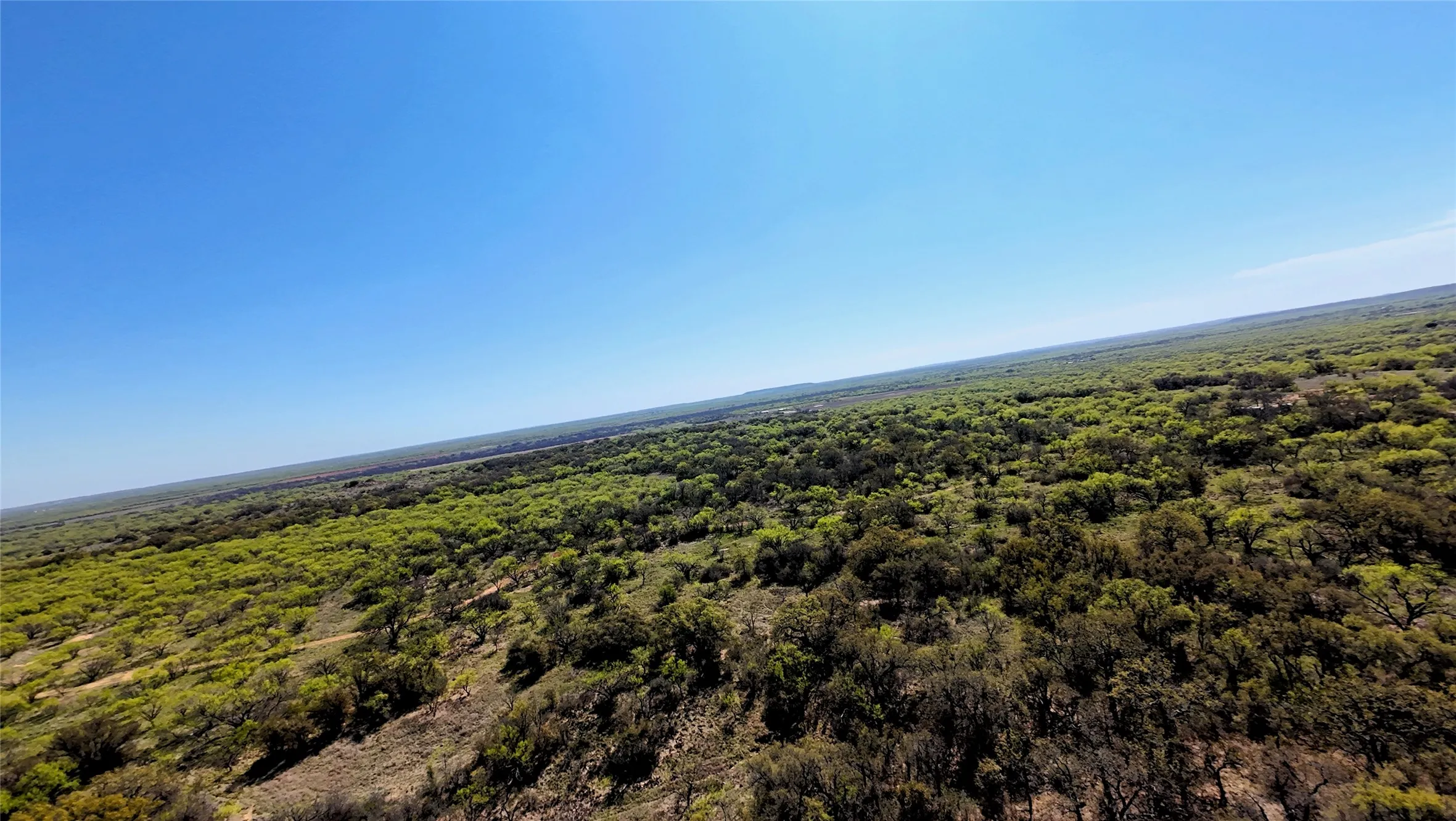 Unimproved Land For Sale in Stephens County , TBD C R 195, Breckenridge, Texas 76424, 0, 0, Garage spaces, 0 Sqft, built in 0, Price $2,055,000, mls#21201465, Real Estate Agent in Breckenridge, Homes For Sale in Stephens county, Homes For Sale in Breckenridge, Realtor in Breckenridge Texas, Real Estate Brokerage Independent Realty Texas, Luminita Cordes Realtor