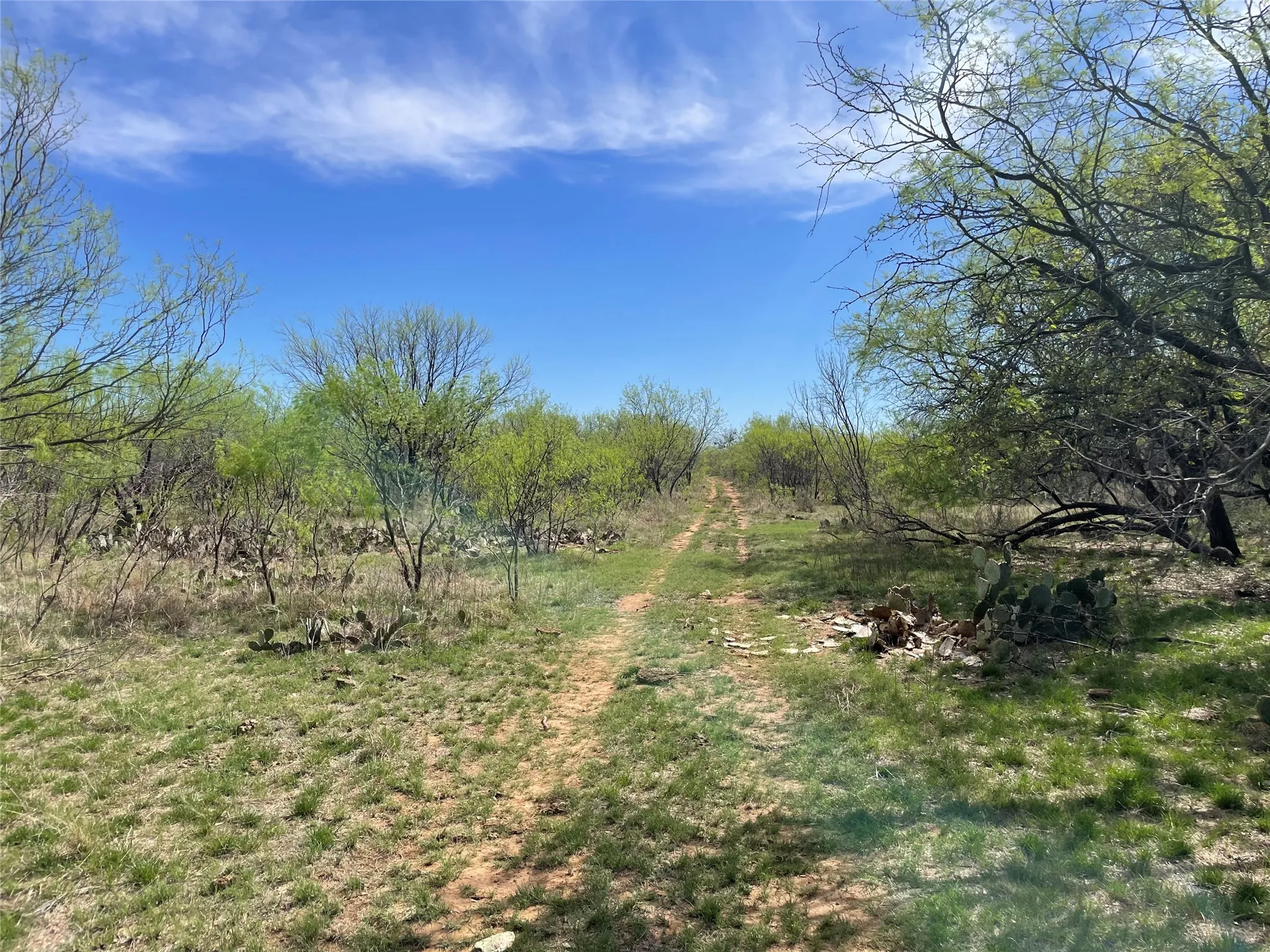 Unimproved Land For Sale in Stephens County , TBD C R 195, Breckenridge, Texas 76424, 0, 0, Garage spaces, 0 Sqft, built in 0, Price $2,055,000, mls#21201465, Real Estate Agent in Breckenridge, Homes For Sale in Stephens county, Homes For Sale in Breckenridge, Realtor in Breckenridge Texas, Real Estate Brokerage Independent Realty Texas, Luminita Cordes Realtor