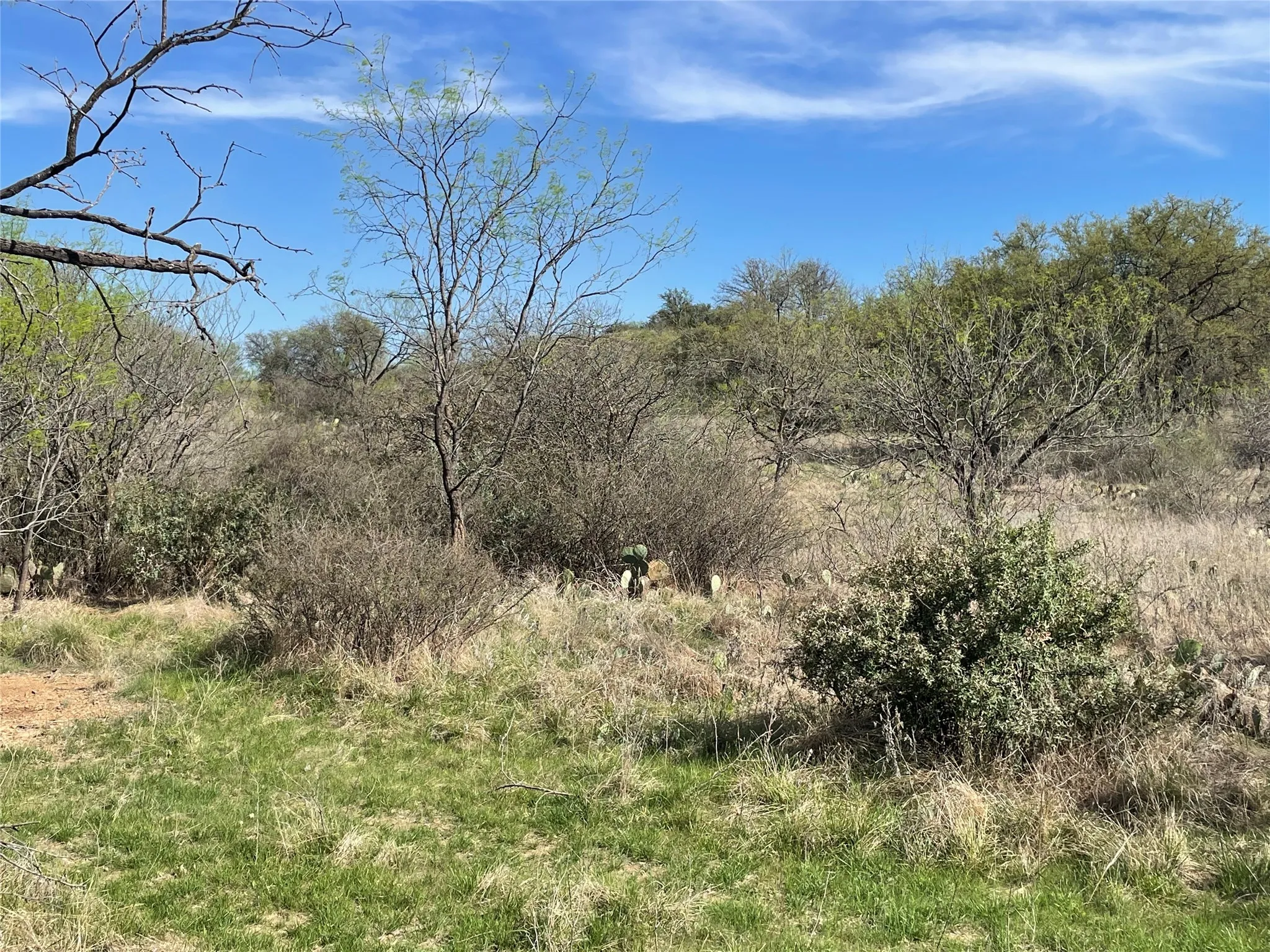 Unimproved Land For Sale in Stephens County , TBD C R 195, Breckenridge, Texas 76424, 0, 0, Garage spaces, 0 Sqft, built in 0, Price $2,055,000, mls#21201465, Real Estate Agent in Breckenridge, Homes For Sale in Stephens county, Homes For Sale in Breckenridge, Realtor in Breckenridge Texas, Real Estate Brokerage Independent Realty Texas, Luminita Cordes Realtor