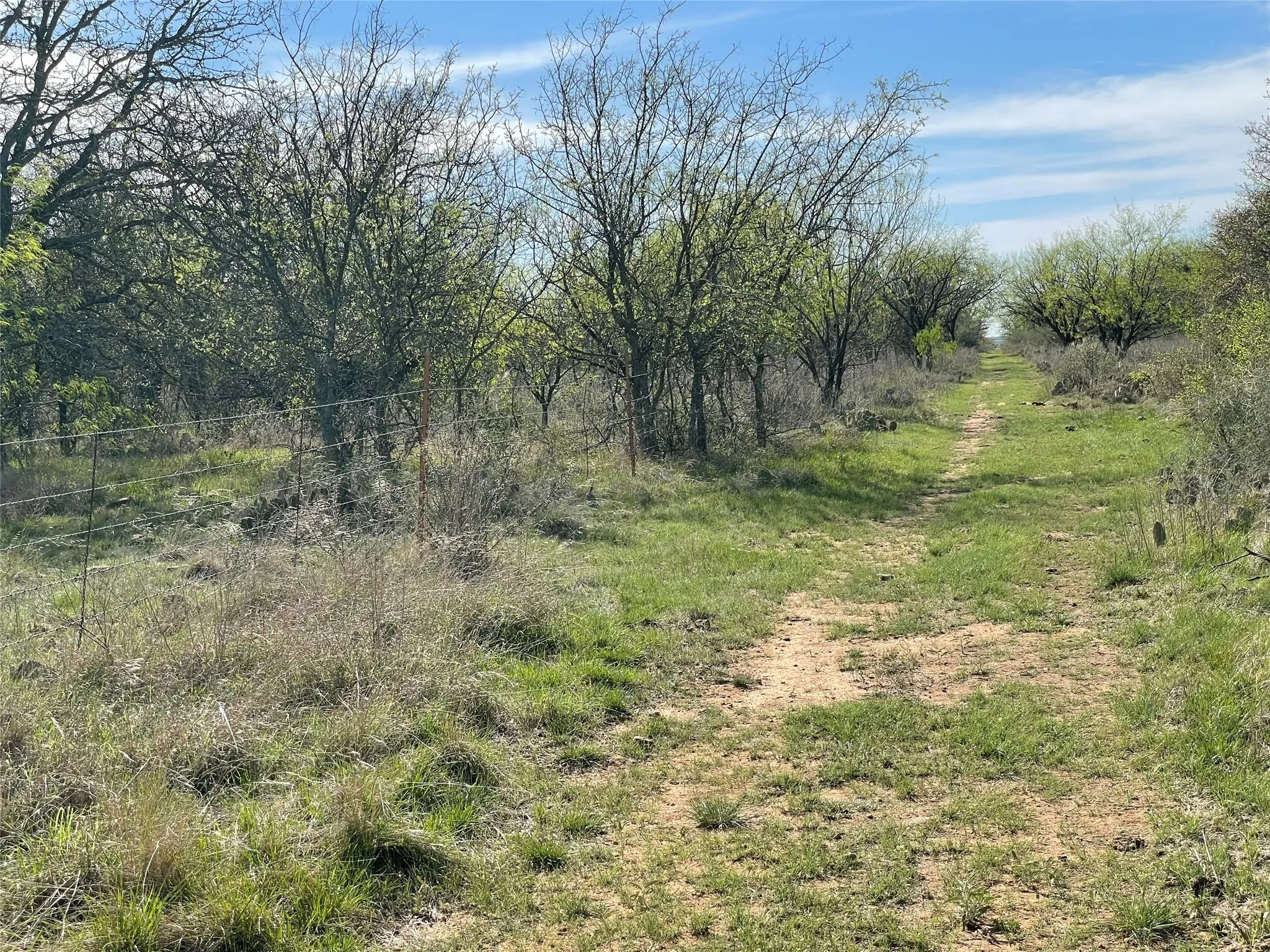 Unimproved Land For Sale in Stephens County , TBD C R 195, Breckenridge, Texas 76424, 0, 0, Garage spaces, 0 Sqft, built in 0, Price $2,055,000, mls#21201465, Real Estate Agent in Breckenridge, Homes For Sale in Stephens county, Homes For Sale in Breckenridge, Realtor in Breckenridge Texas, Real Estate Brokerage Independent Realty Texas, Luminita Cordes Realtor