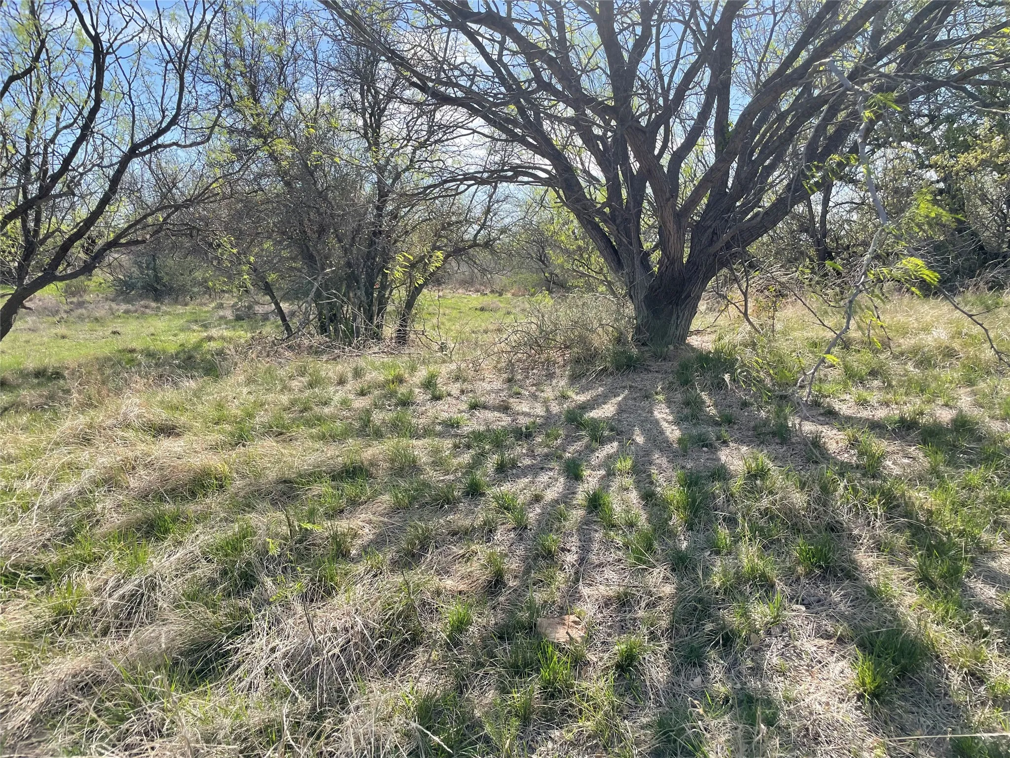 Unimproved Land For Sale in Stephens County , TBD C R 195, Breckenridge, Texas 76424, 0, 0, Garage spaces, 0 Sqft, built in 0, Price $2,055,000, mls#21201465, Real Estate Agent in Breckenridge, Homes For Sale in Stephens county, Homes For Sale in Breckenridge, Realtor in Breckenridge Texas, Real Estate Brokerage Independent Realty Texas, Luminita Cordes Realtor
