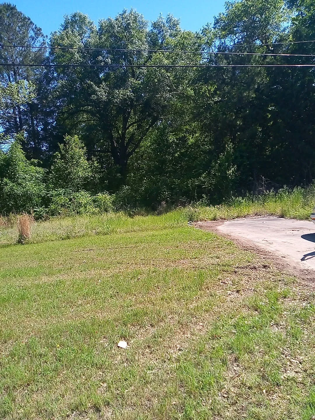 Unimproved Land For Sale in Cass County , 2703 W Main Street, Atlanta, Texas 75551, 0, 0, Garage spaces, 0 Sqft, built in 0, mls#21244499, Real Estate Agent in Atlanta, Homes For Sale in Cass county, Homes For Sale in Atlanta, Realtor in Atlanta Texas, Real Estate Brokerage Independent Realty Texas, Luminita Cordes Realtor