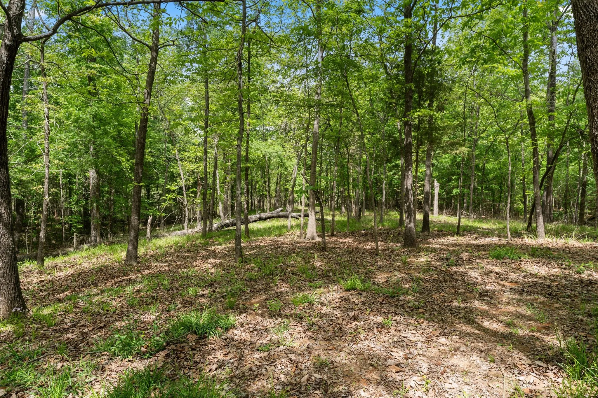Single Family Residence For Sale in Wood County , 353 PR 5861, Yantis, Texas 75497, 2 Bedroom, 1 Bathroom, Garage spaces, 975 Sqft, built in 2019, Preowned, mls#21224558, Real Estate Agent in Yantis, Homes For Sale in Wood county, Homes For Sale in Yantis, Realtor in Yantis Texas, Real Estate Brokerage Independent Realty Texas, Luminita Cordes Realtor