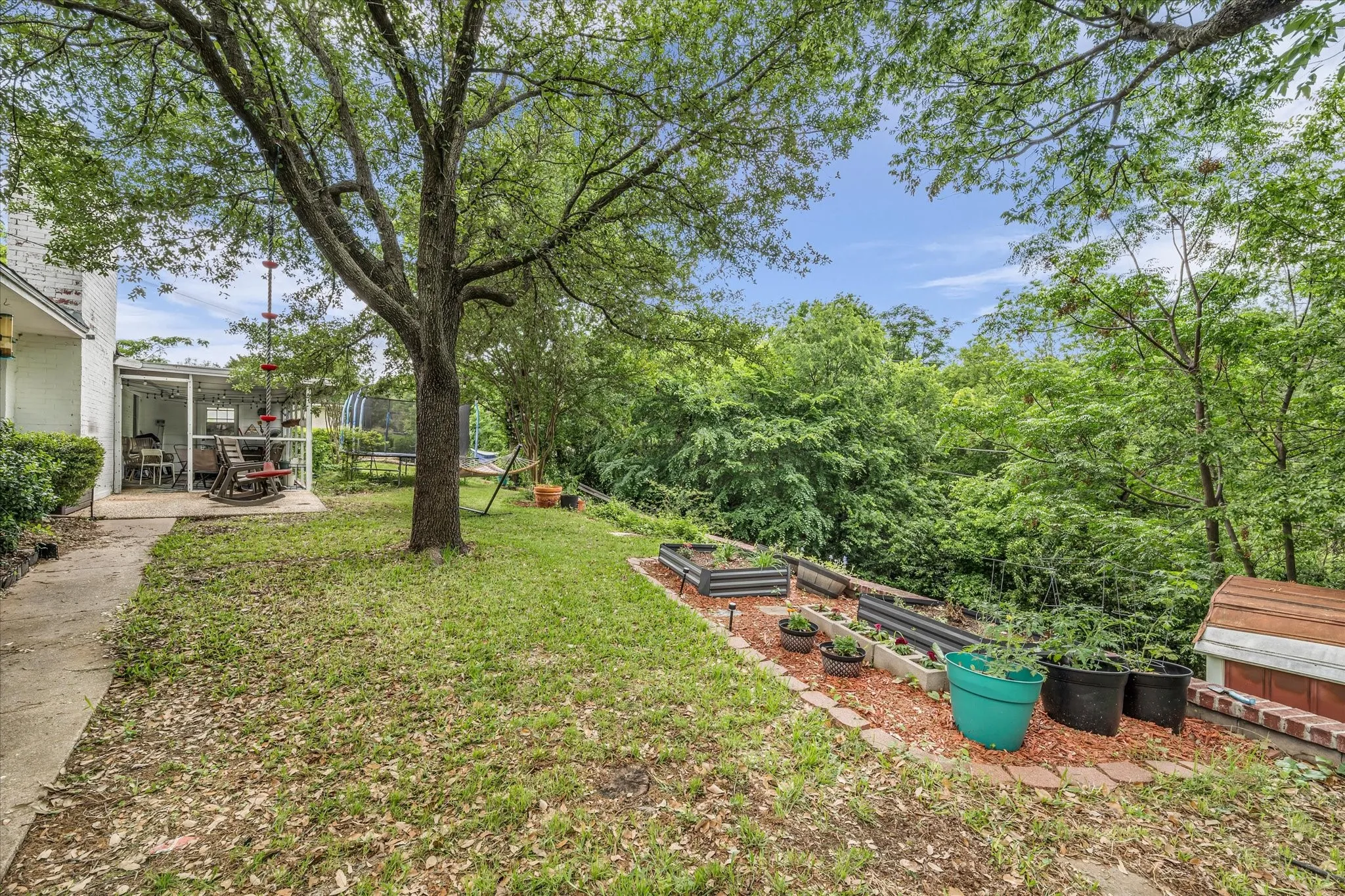 Upper backyard