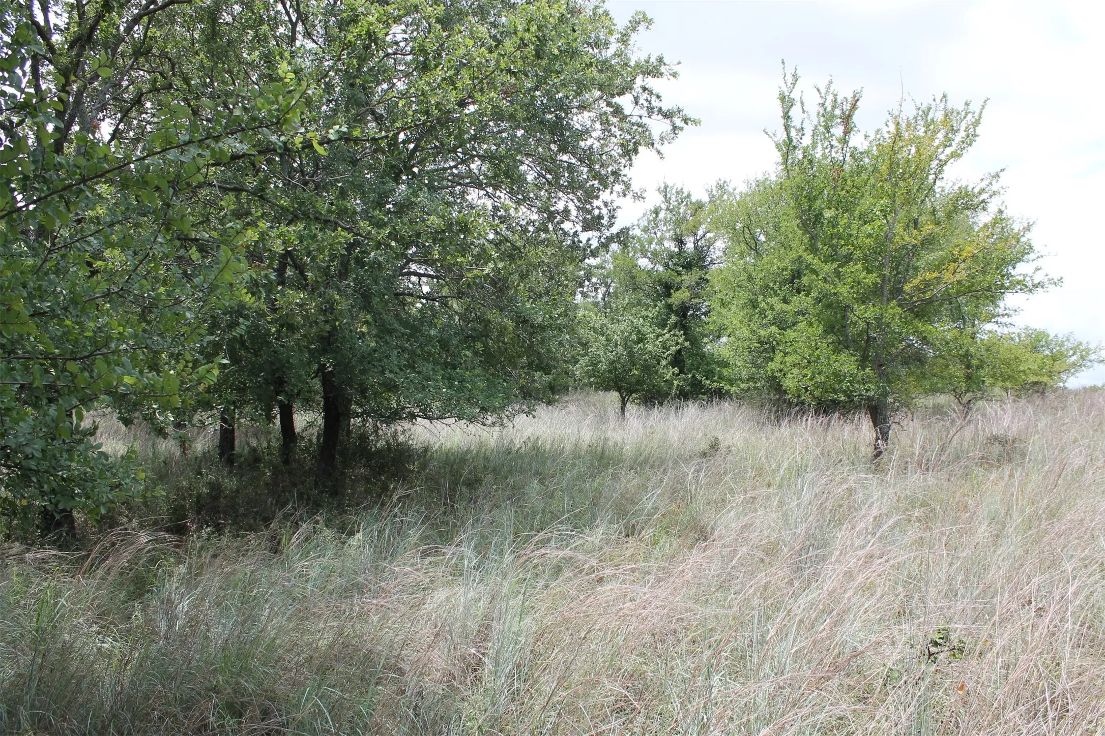 Unimproved Land For Sale in Wise County , 120 Demonbreun Court, Chico, Texas 76431, 0, 0, Garage spaces, 0 Sqft, built in 0, mls#21244610, Real Estate Agent in Chico, Homes For Sale in Wise county, Homes For Sale in Chico, Realtor in Chico Texas, Real Estate Brokerage Independent Realty Texas, Luminita Cordes Realtor