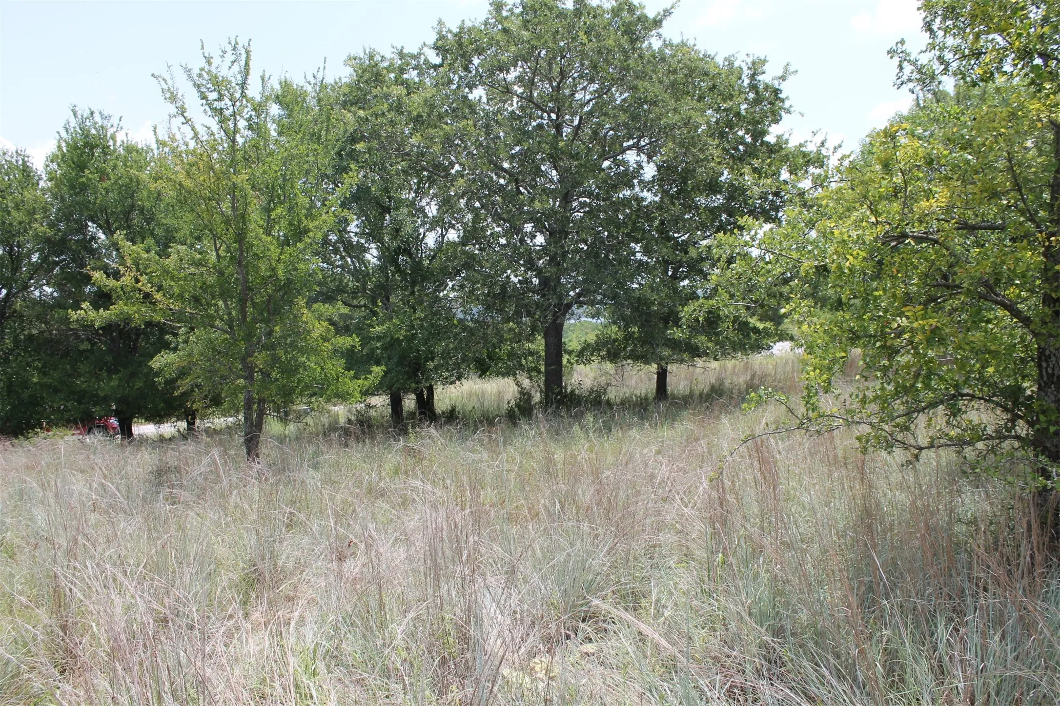 Unimproved Land For Sale in Wise County , 120 Demonbreun Court, Chico, Texas 76431, 0, 0, Garage spaces, 0 Sqft, built in 0, mls#21244610, Real Estate Agent in Chico, Homes For Sale in Wise county, Homes For Sale in Chico, Realtor in Chico Texas, Real Estate Brokerage Independent Realty Texas, Luminita Cordes Realtor