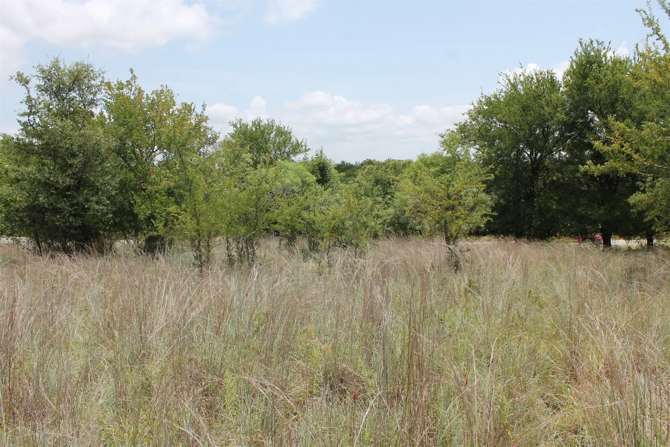 Unimproved Land For Sale in Wise County , 120 Demonbreun Court, Chico, Texas 76431, 0, 0, Garage spaces, 0 Sqft, built in 0, mls#21244610, Real Estate Agent in Chico, Homes For Sale in Wise county, Homes For Sale in Chico, Realtor in Chico Texas, Real Estate Brokerage Independent Realty Texas, Luminita Cordes Realtor