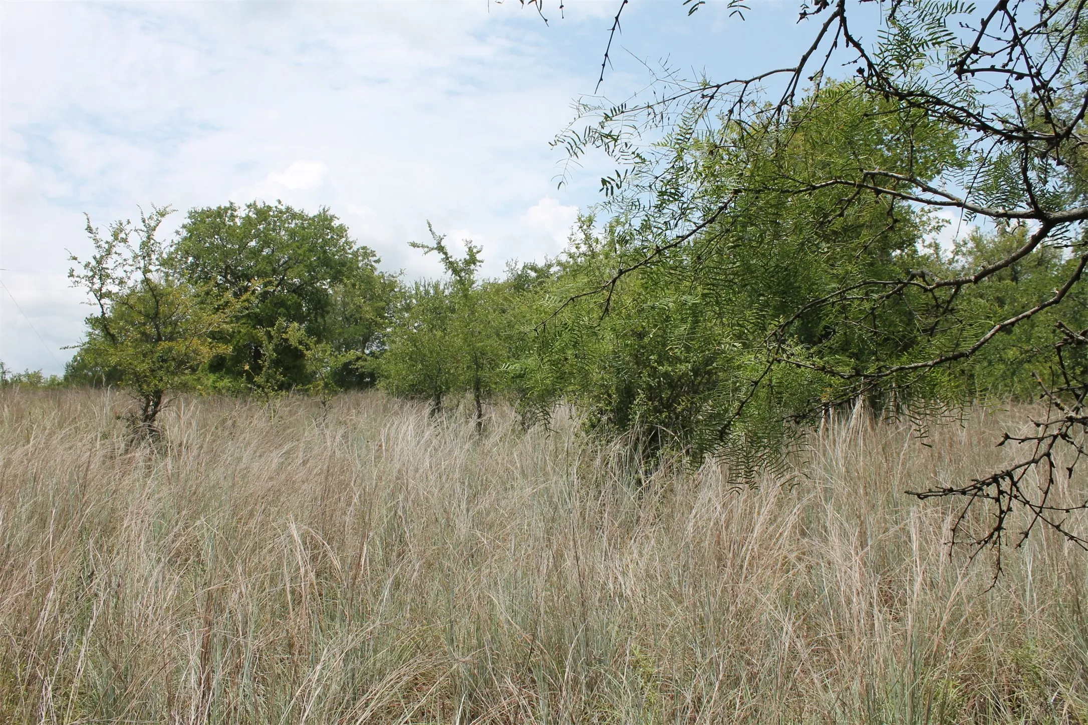 Unimproved Land For Sale in Wise County , 120 Demonbreun Court, Chico, Texas 76431, 0, 0, Garage spaces, 0 Sqft, built in 0, mls#21244610, Real Estate Agent in Chico, Homes For Sale in Wise county, Homes For Sale in Chico, Realtor in Chico Texas, Real Estate Brokerage Independent Realty Texas, Luminita Cordes Realtor
