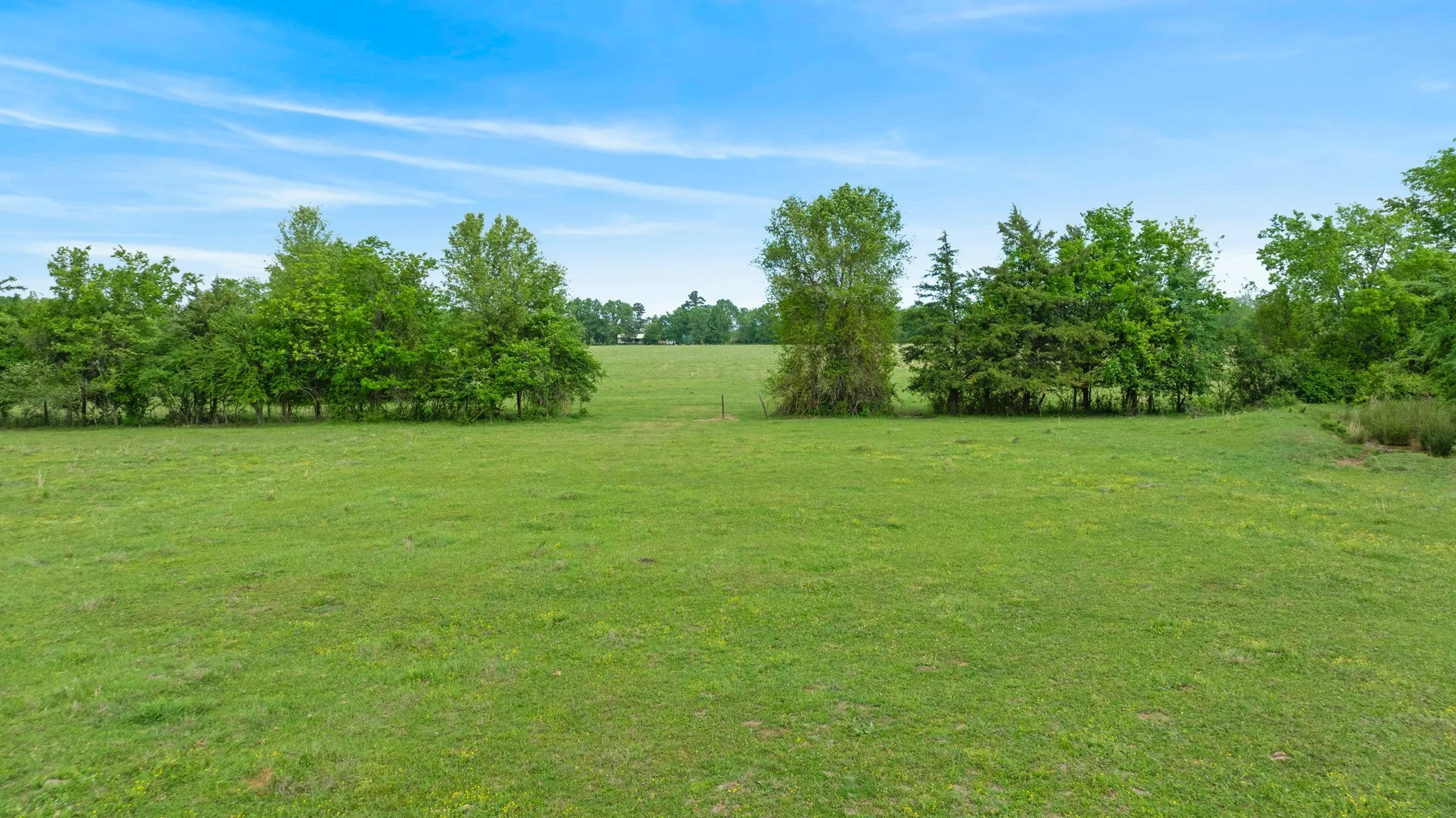 Improved Land For Sale in Red River (TX) County , 000 CR 2110, Bagwell, Texas 75412, 0, 0, Garage spaces, 0 Sqft, built in 0, Price $285,000, mls#21243464, Real Estate Agent in Bagwell, Homes For Sale in Red River (TX) county, Homes For Sale in Bagwell, Realtor in Bagwell Texas, Real Estate Brokerage Independent Realty Texas, Luminita Cordes Realtor