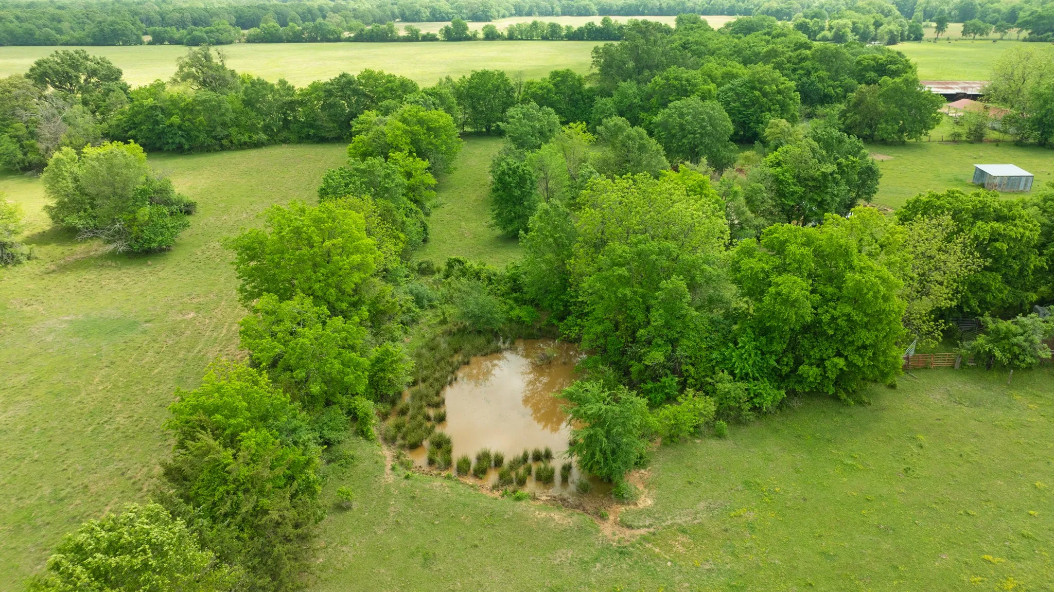Improved Land For Sale in Red River (TX) County , 000 CR 2110, Bagwell, Texas 75412, 0, 0, Garage spaces, 0 Sqft, built in 0, Price $285,000, mls#21243464, Real Estate Agent in Bagwell, Homes For Sale in Red River (TX) county, Homes For Sale in Bagwell, Realtor in Bagwell Texas, Real Estate Brokerage Independent Realty Texas, Luminita Cordes Realtor